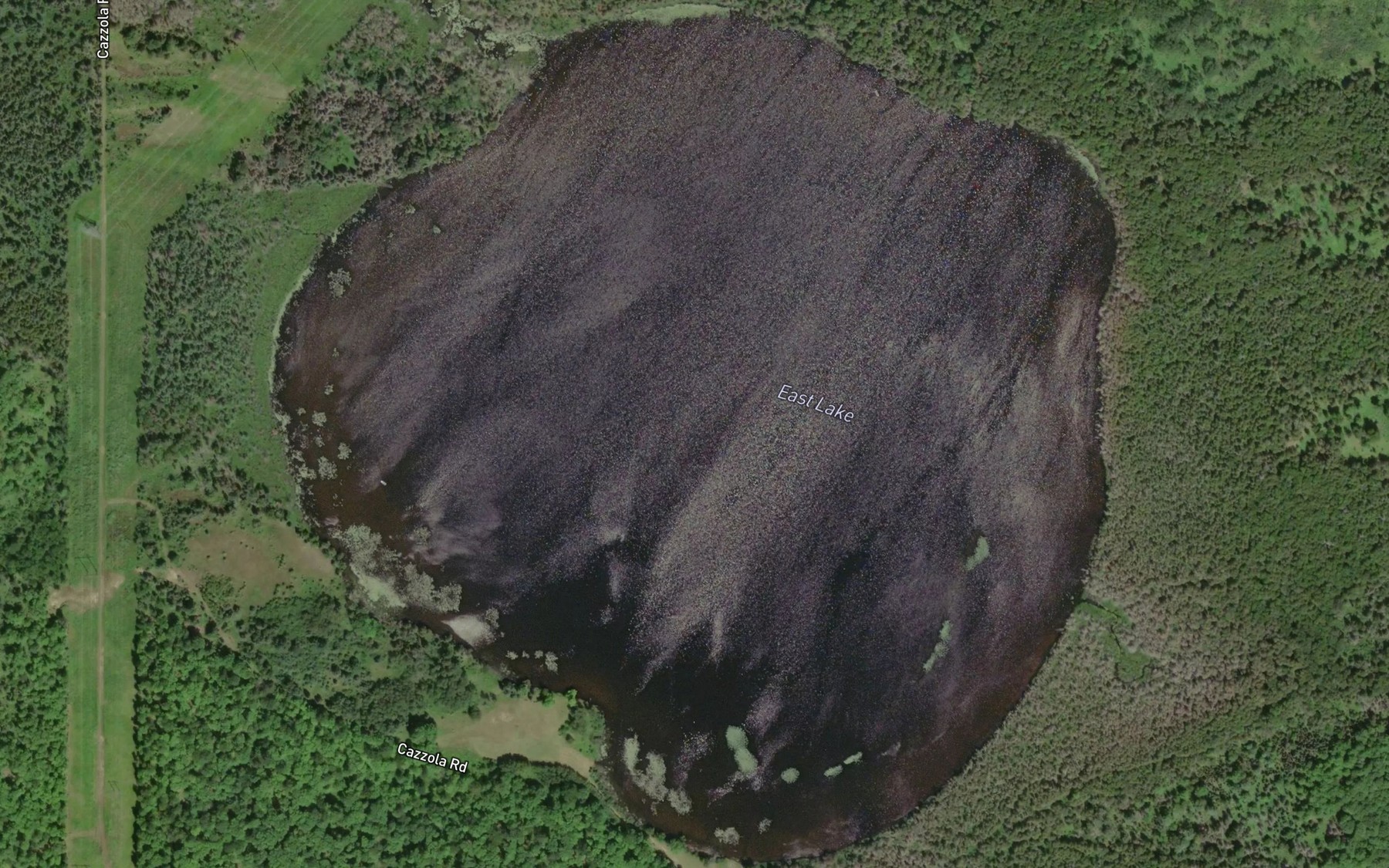 Satellite map of the East Lake