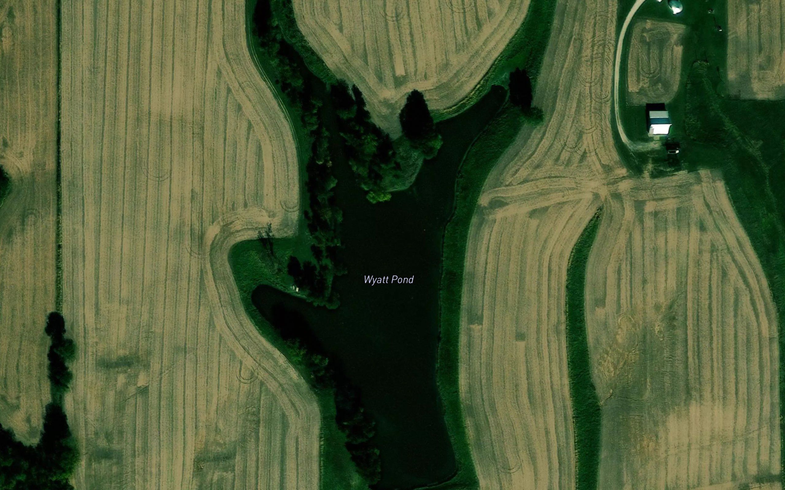 Wyatt Pond