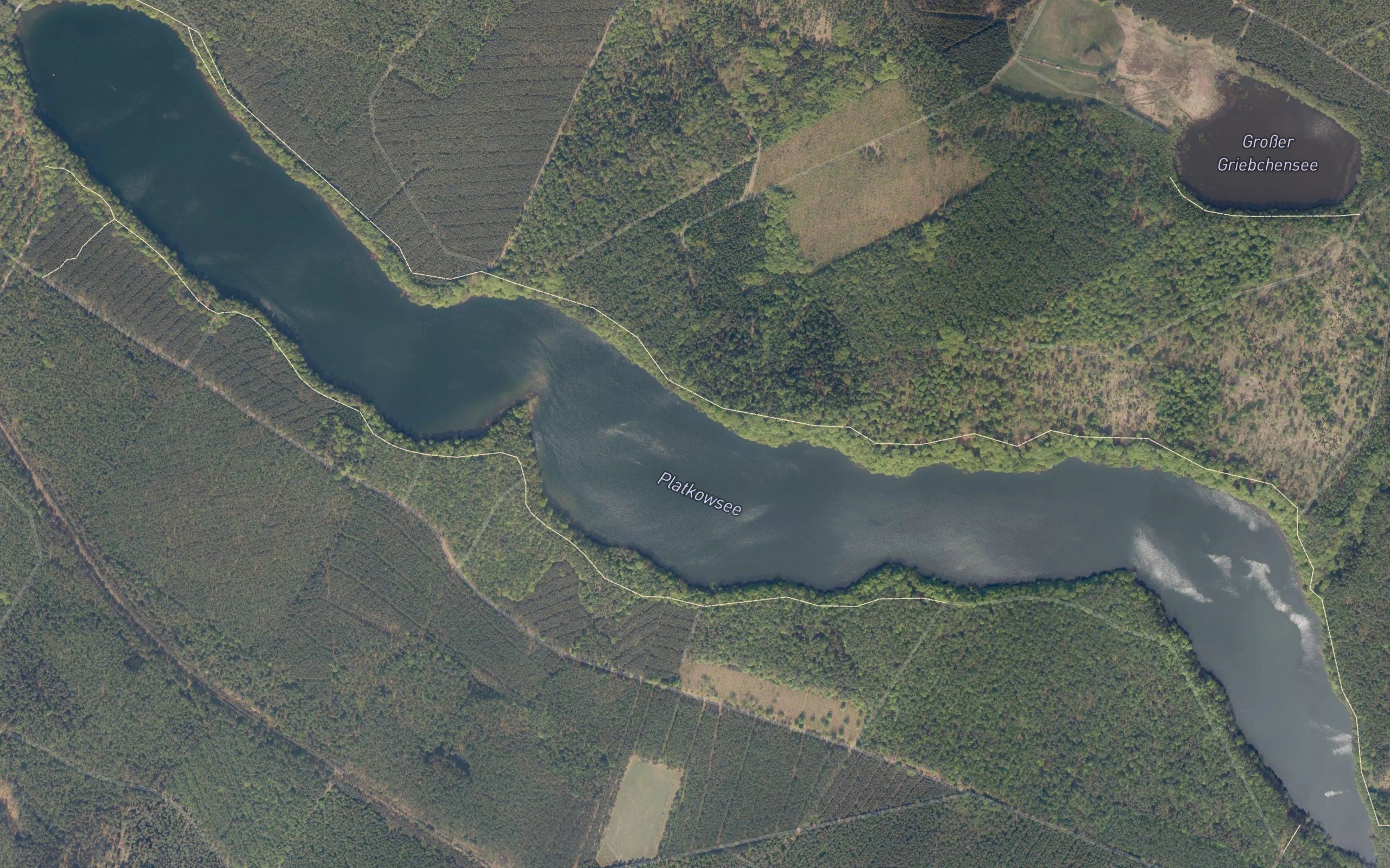 Platkowsee