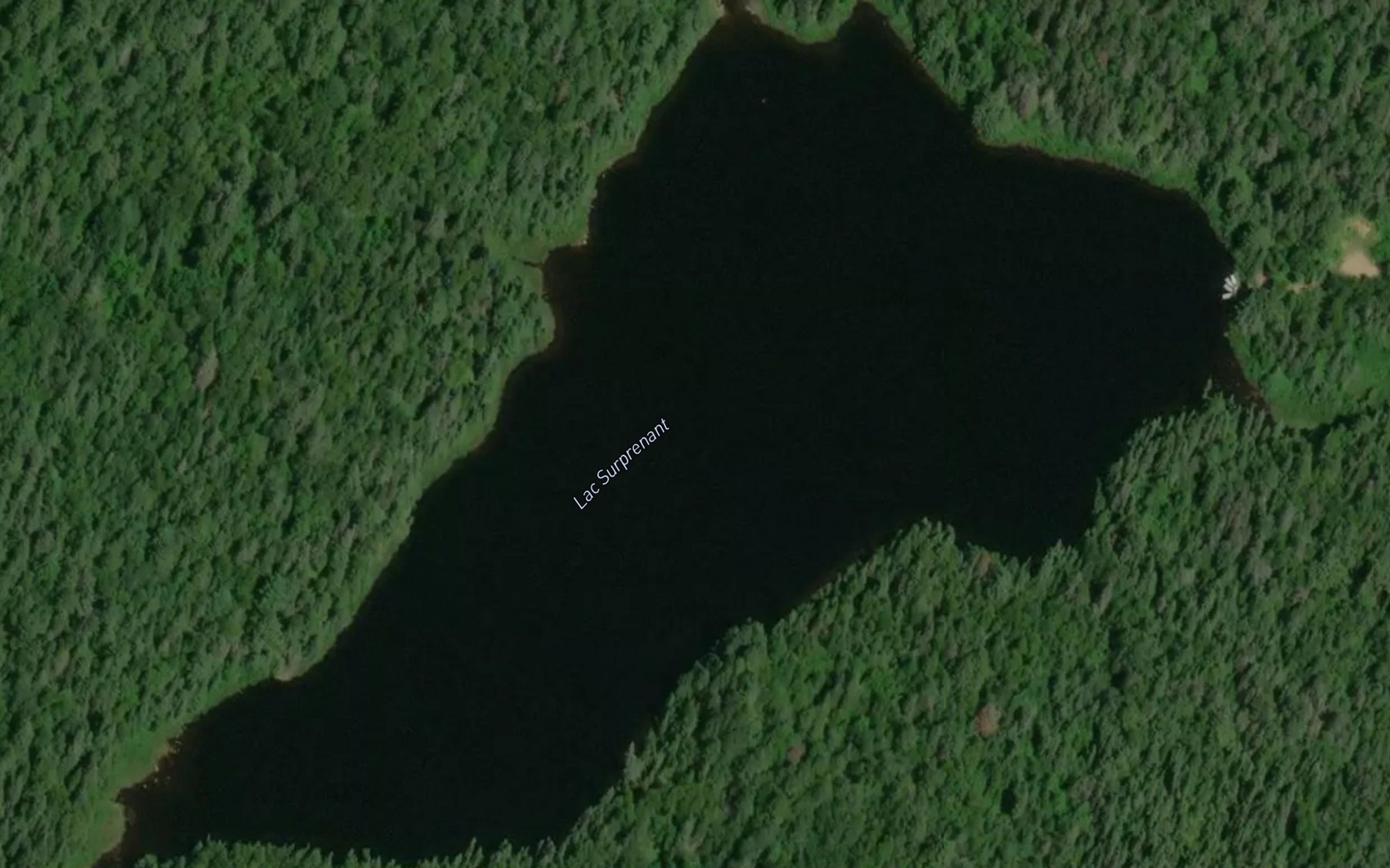 Satellite map of the Lac Surprenant