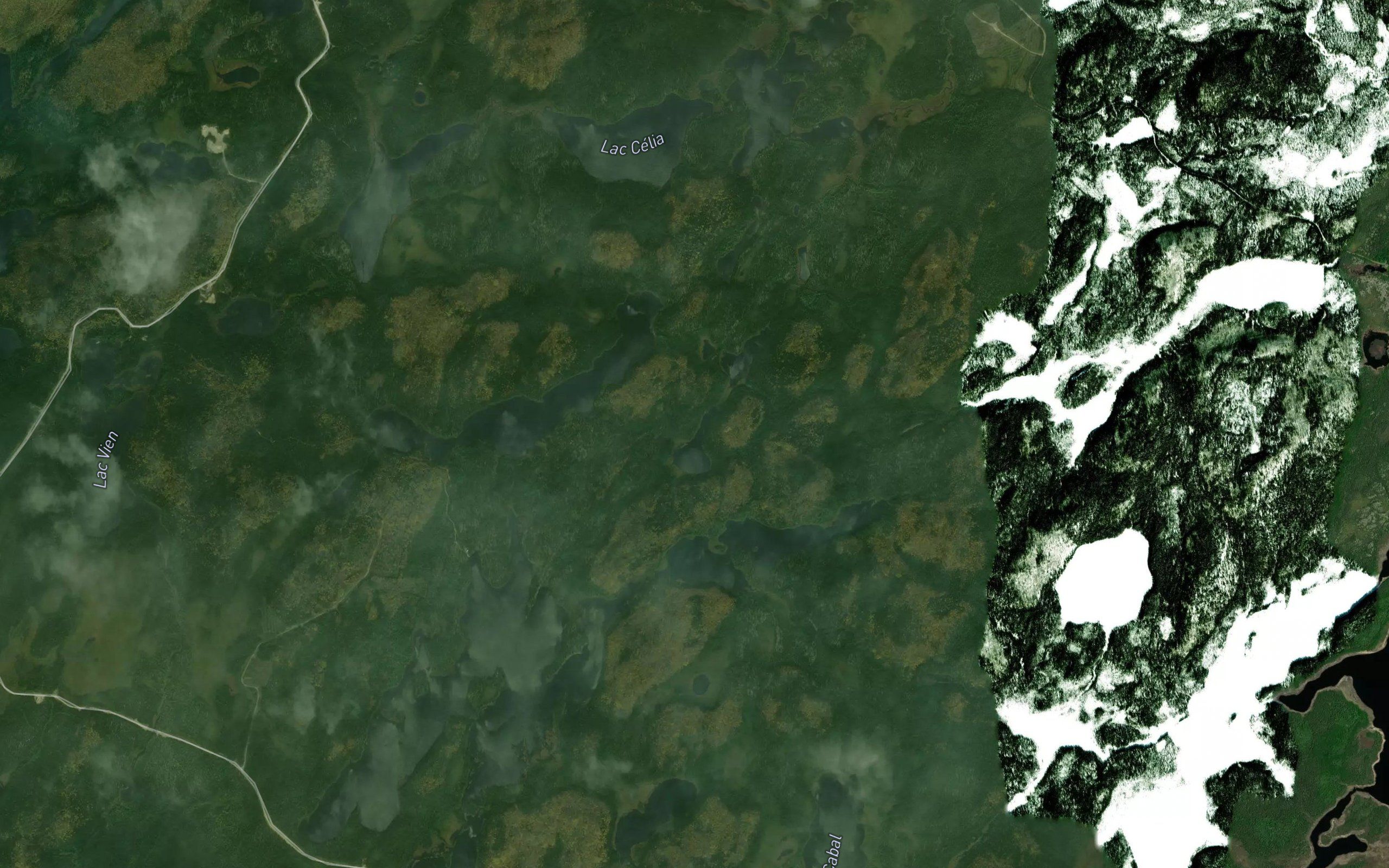 Lac Tubal