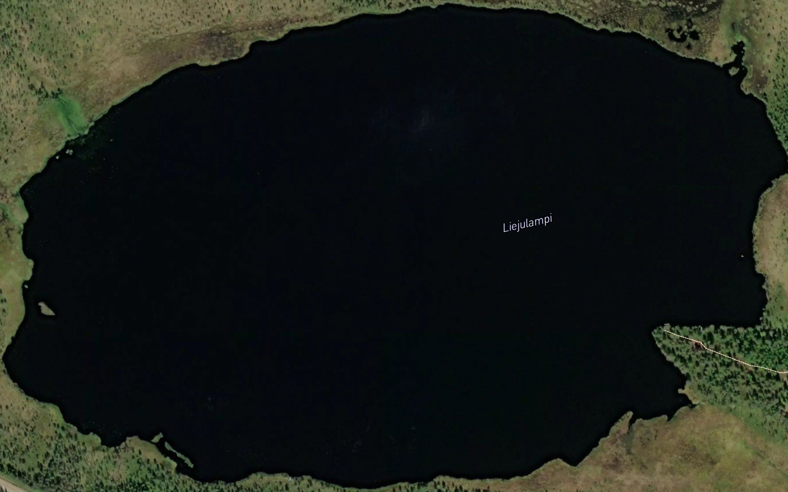 Liejulampi