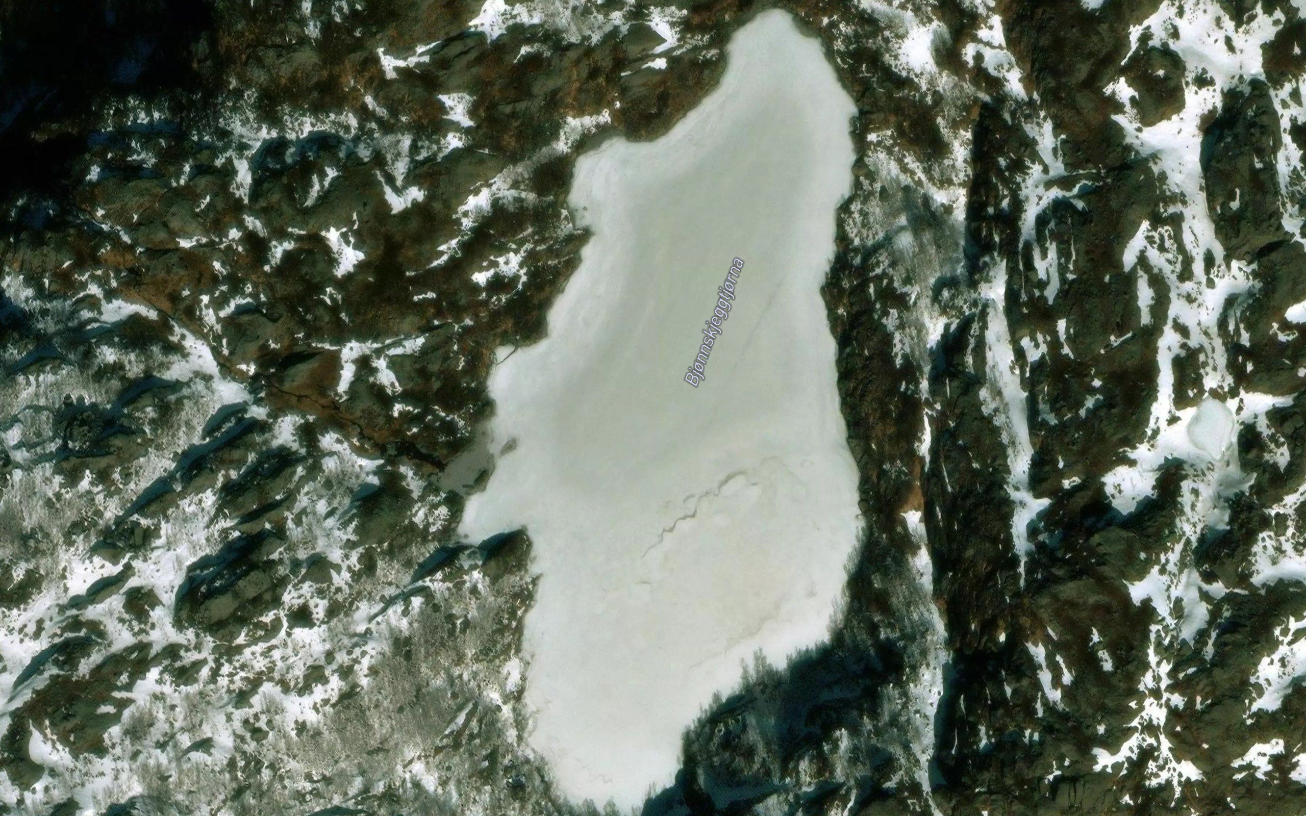Bjonnskjeggtjorna