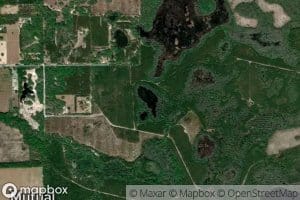 Black Pond