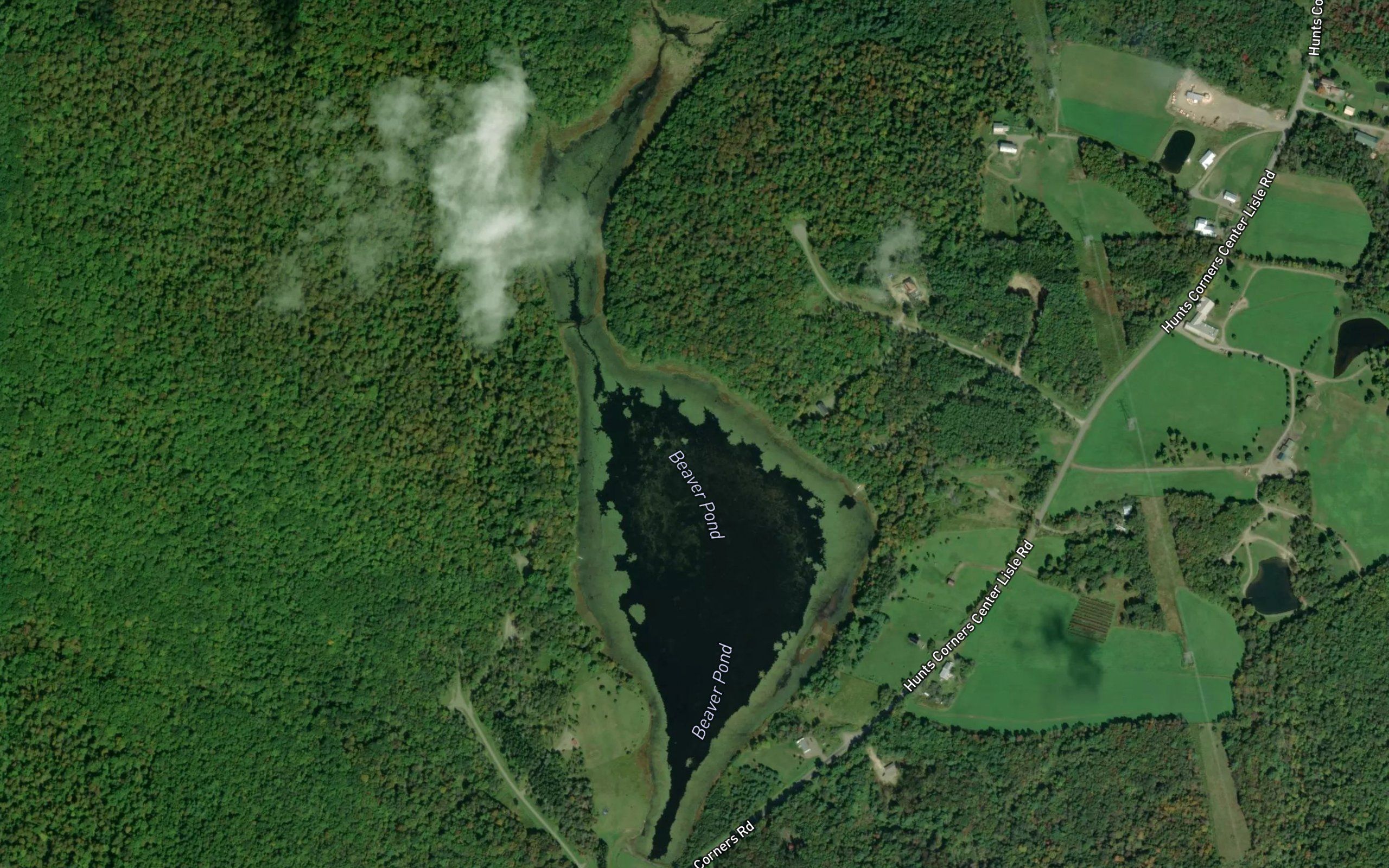 Beaver Pond