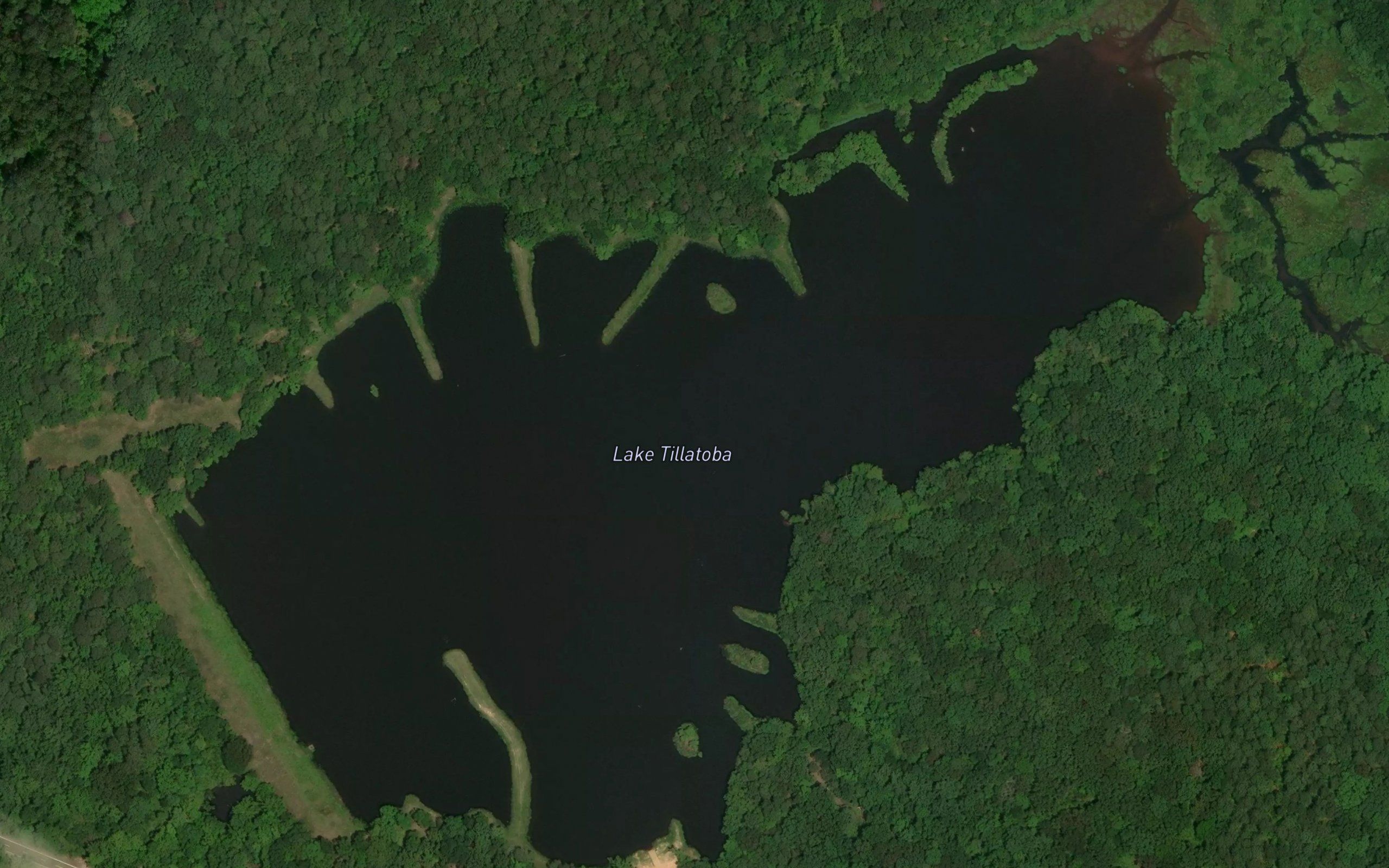 Lake Tillatoba