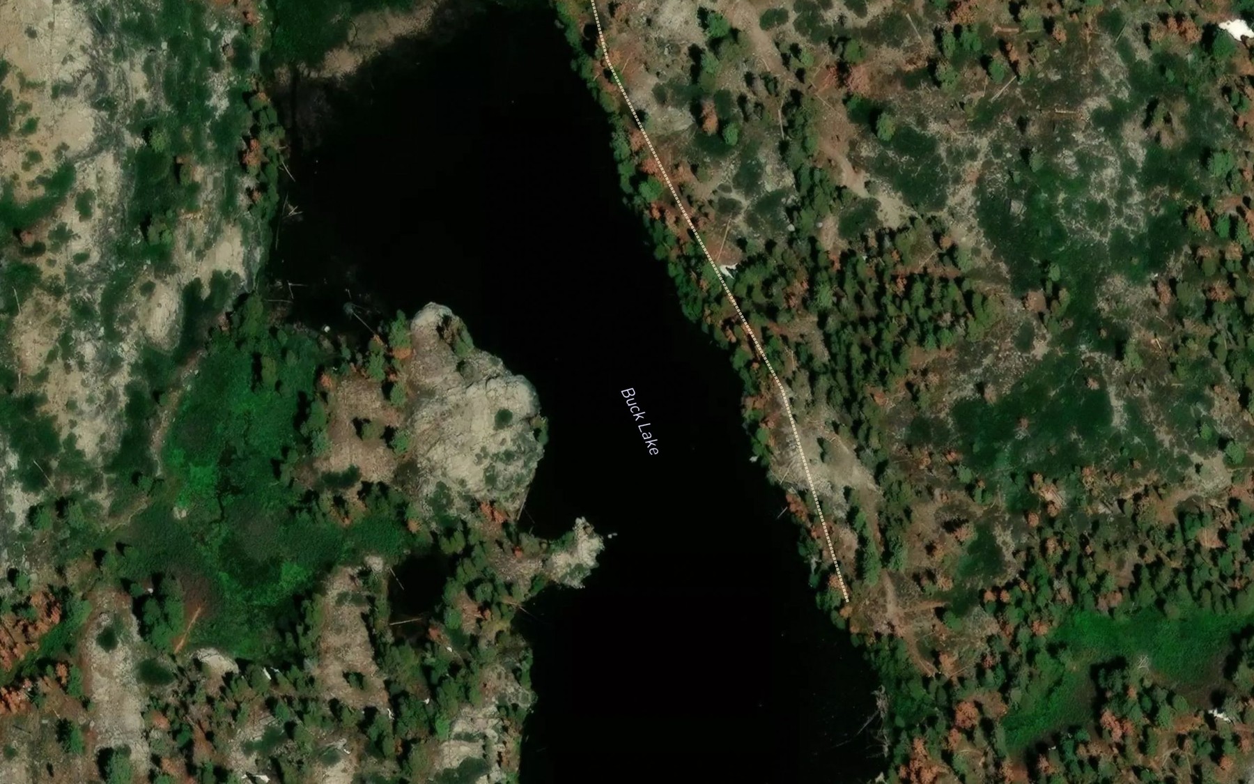 Satellite map of the Buck Lake