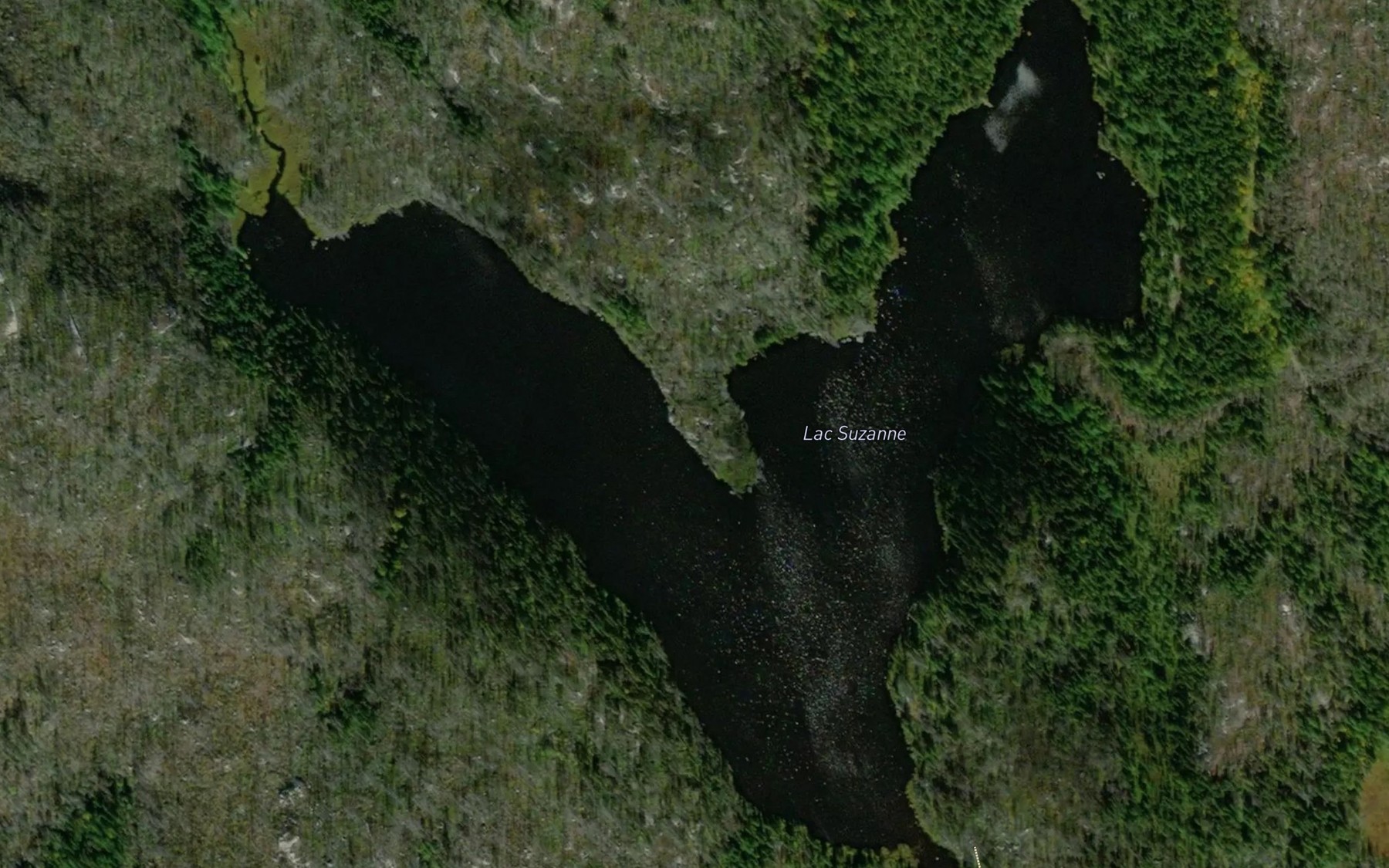 Satellite map of the Lac Suzanne