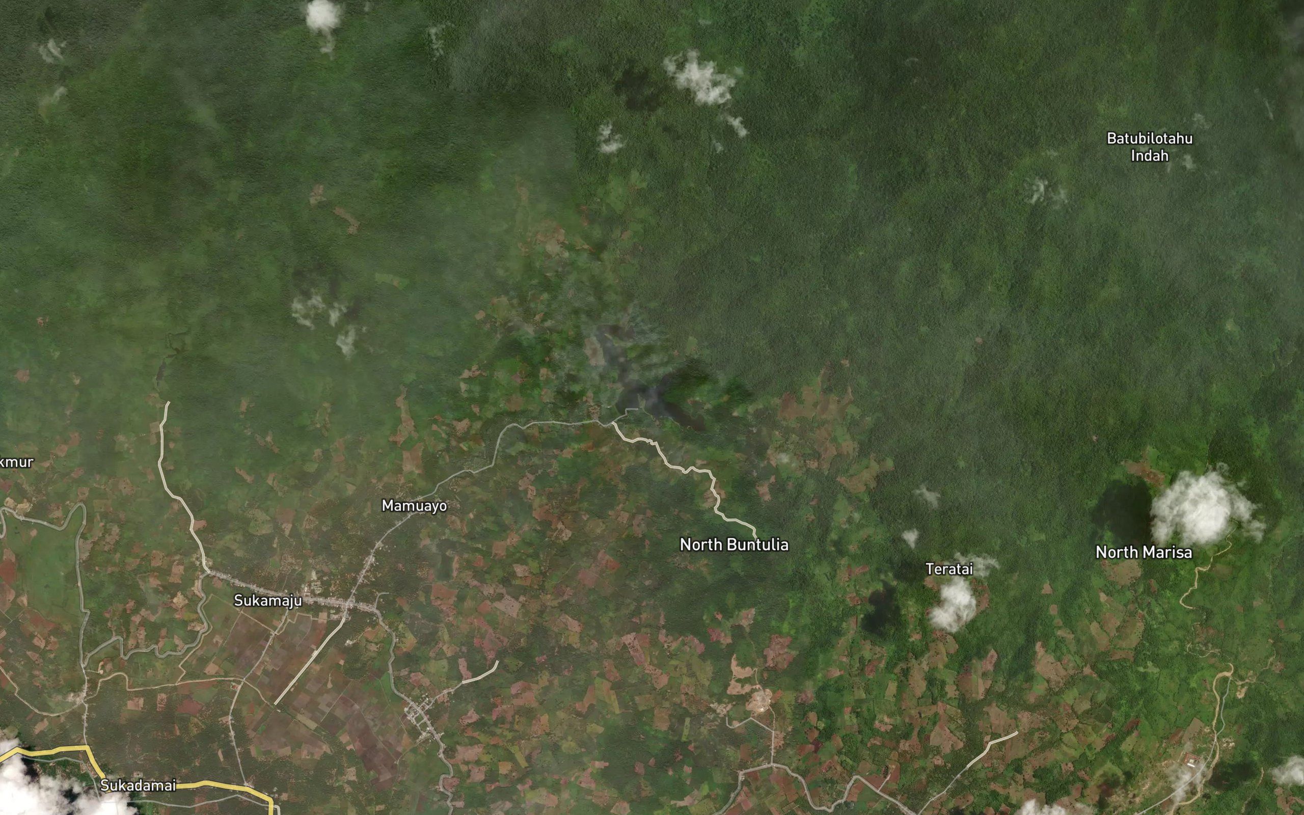 Dutula Mamuayo