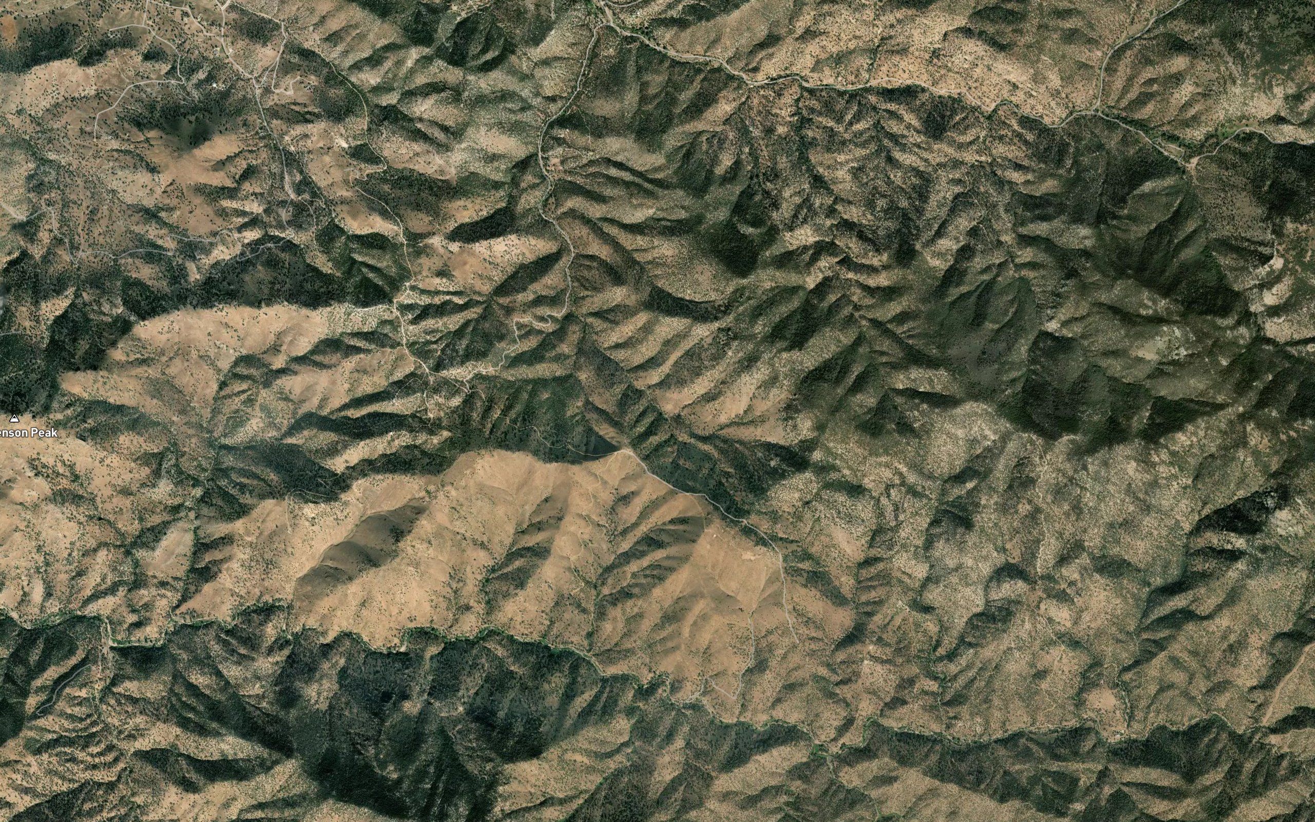 Saddle Spring