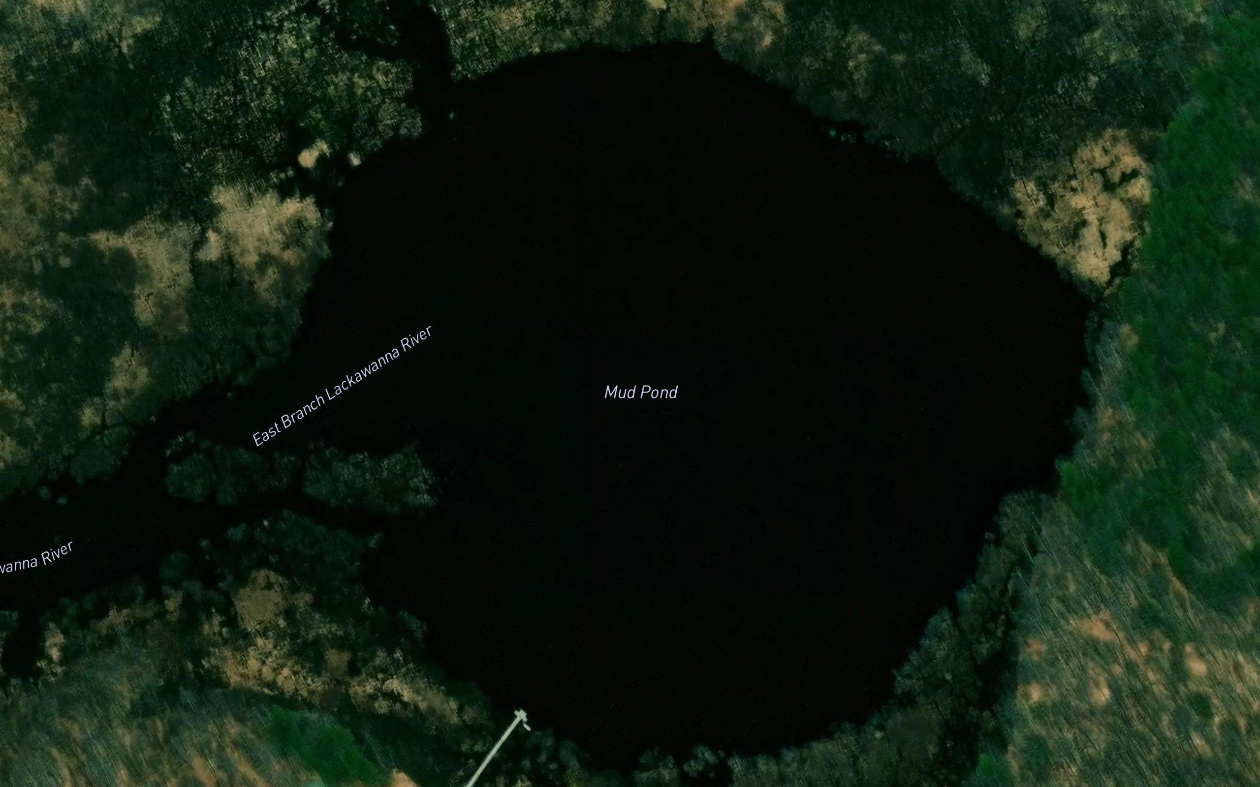 Mud Pond