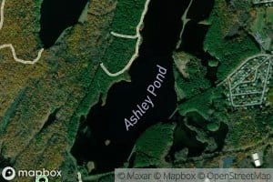 Ashley Pond
