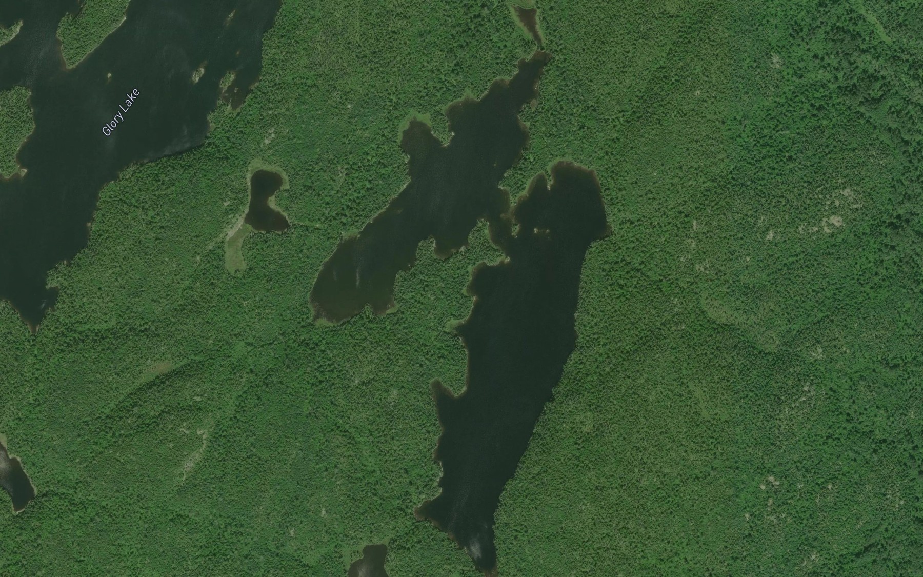 Satellite map of the Islealone Lake