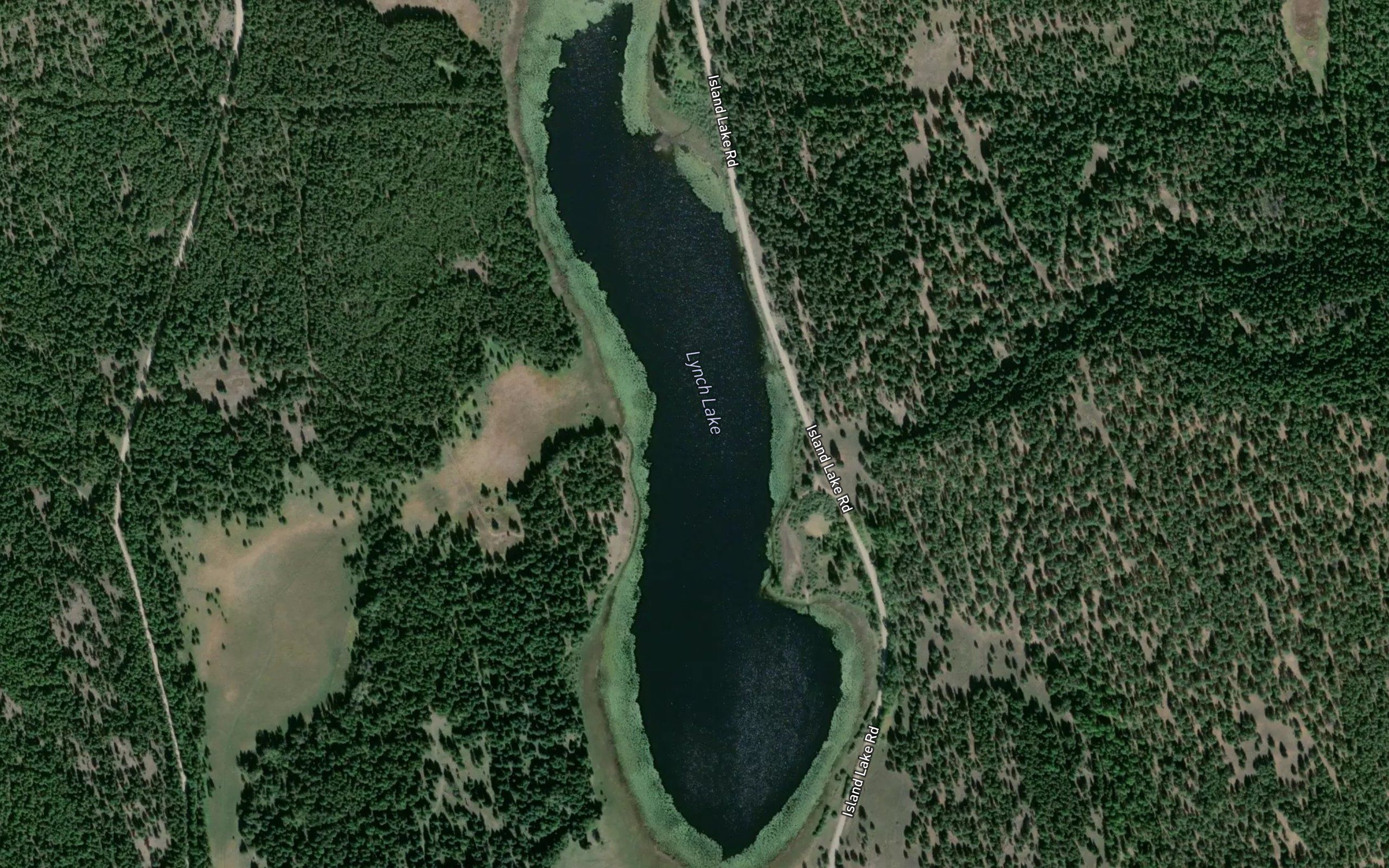 Lynch Lake