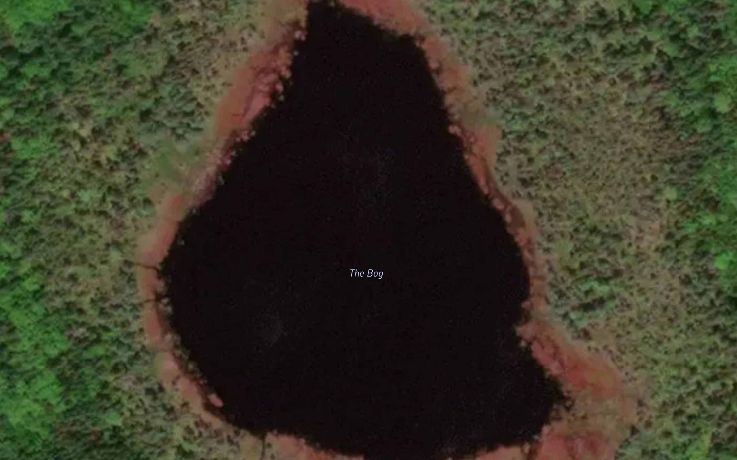 The Bog