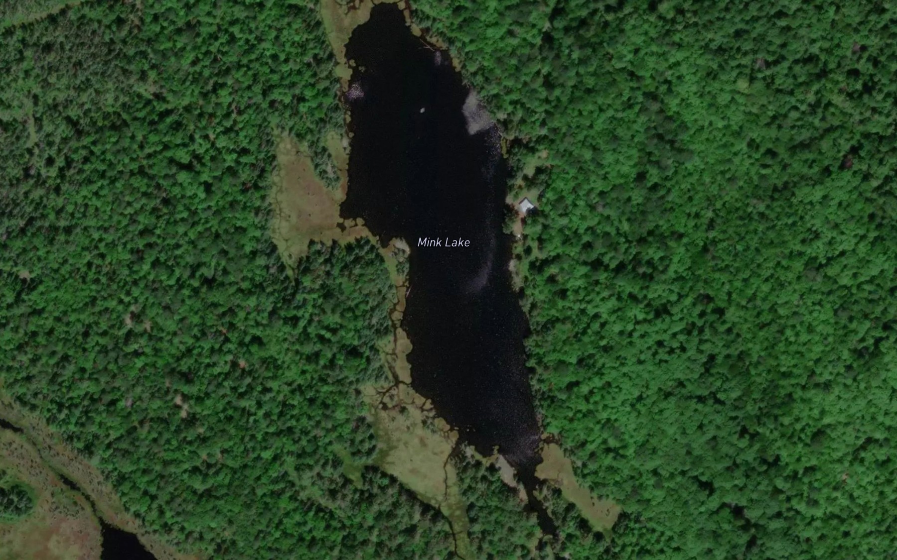 Satellite map of the Mink Lake