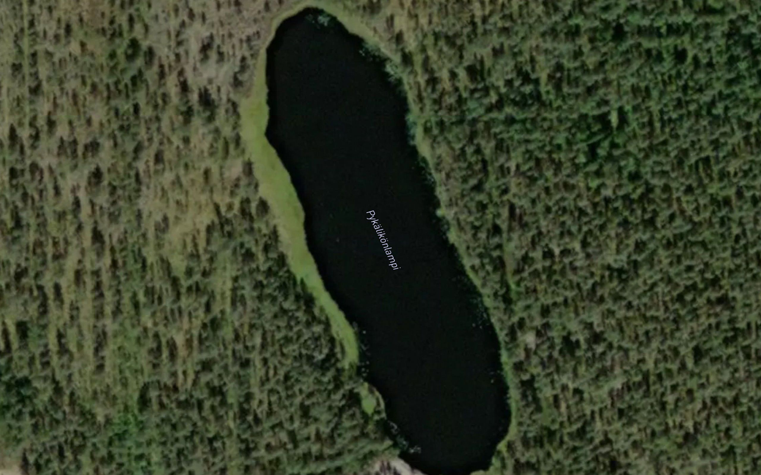 Pykalikonlampi