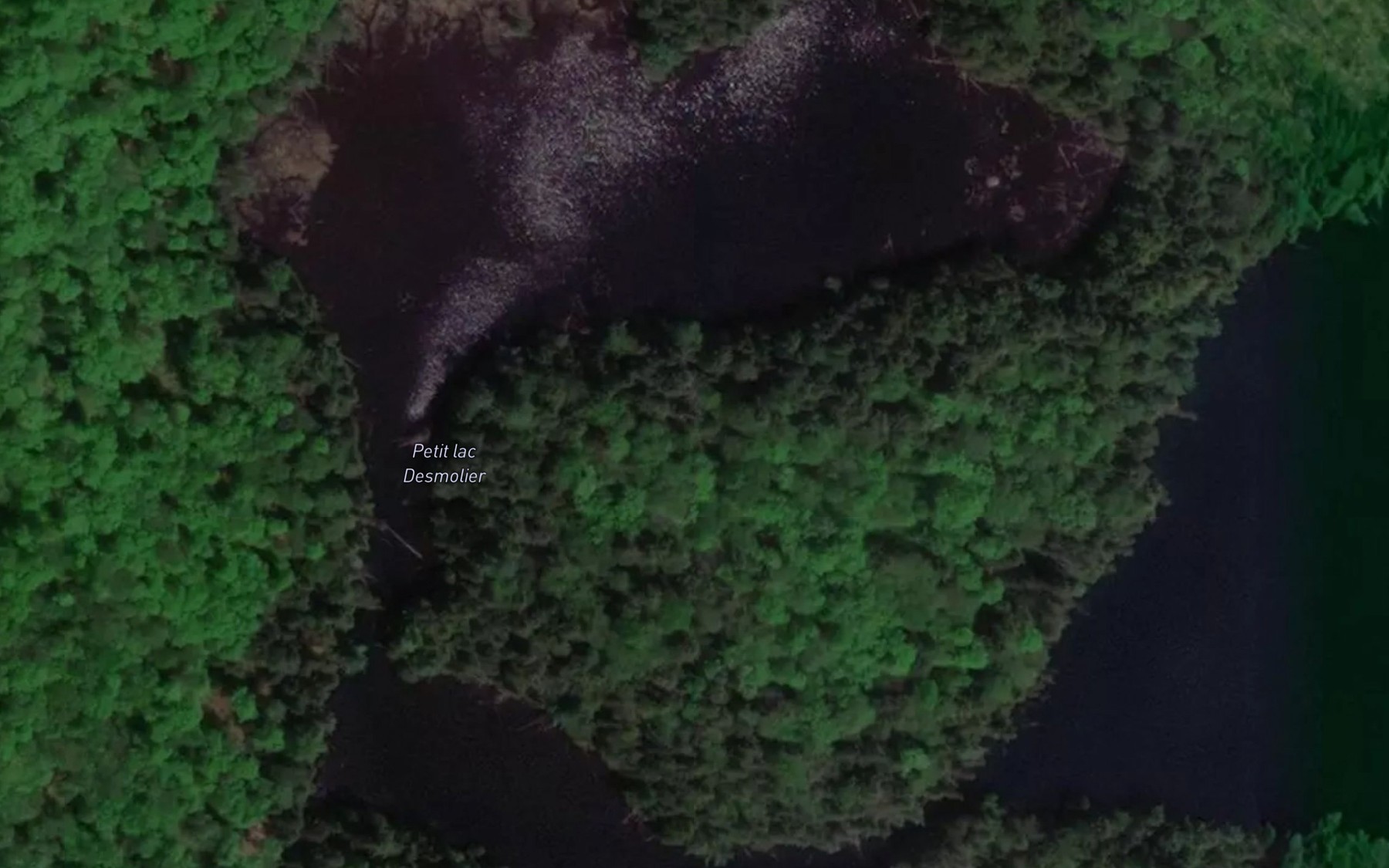 Satellite map of the Petit lac Desmolier