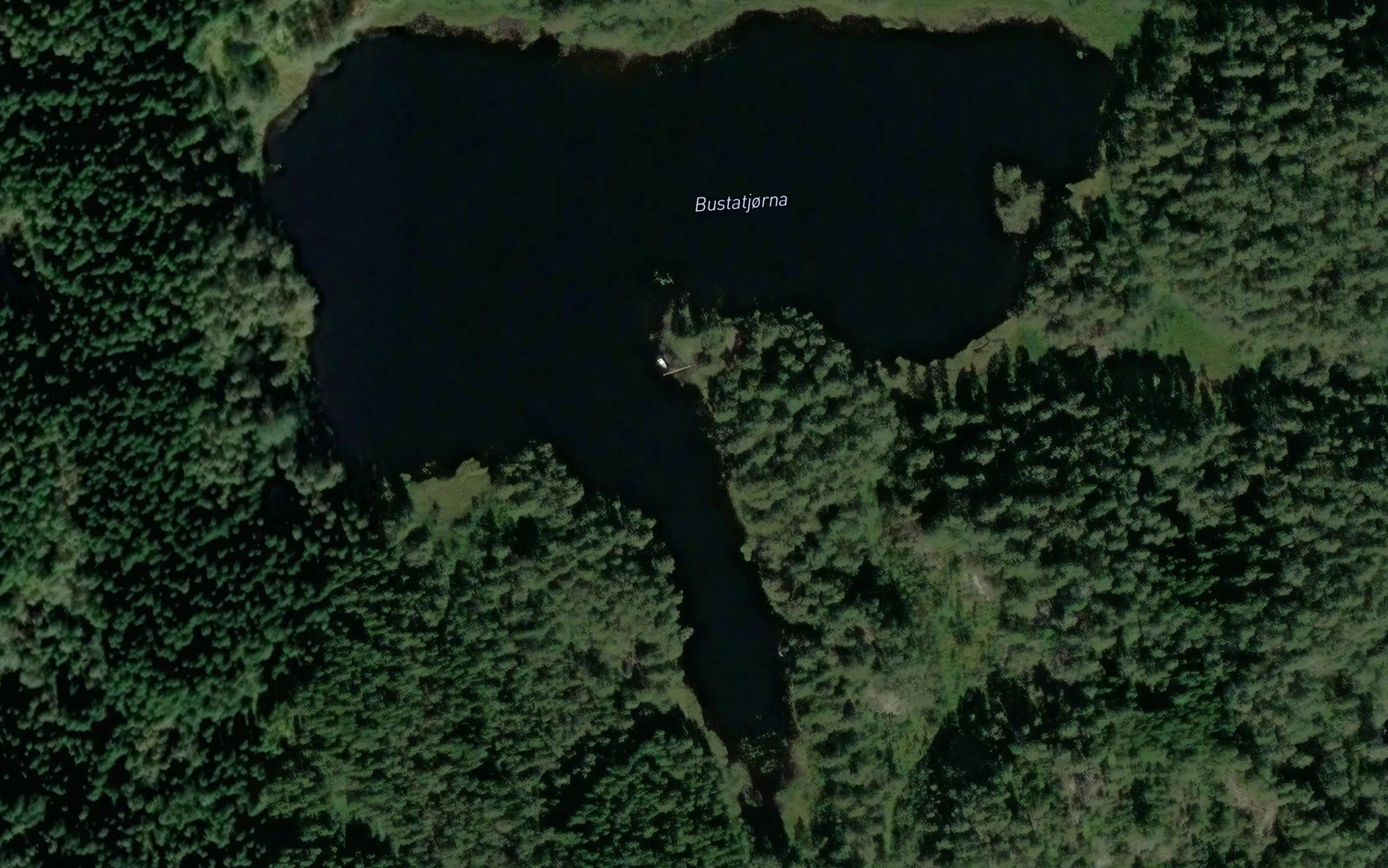 Bustatjorna