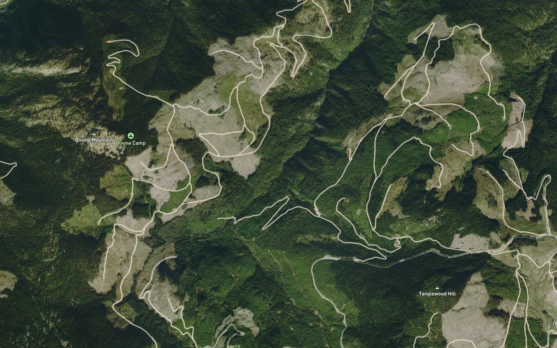 Satellite map of the Tanglewood Creek