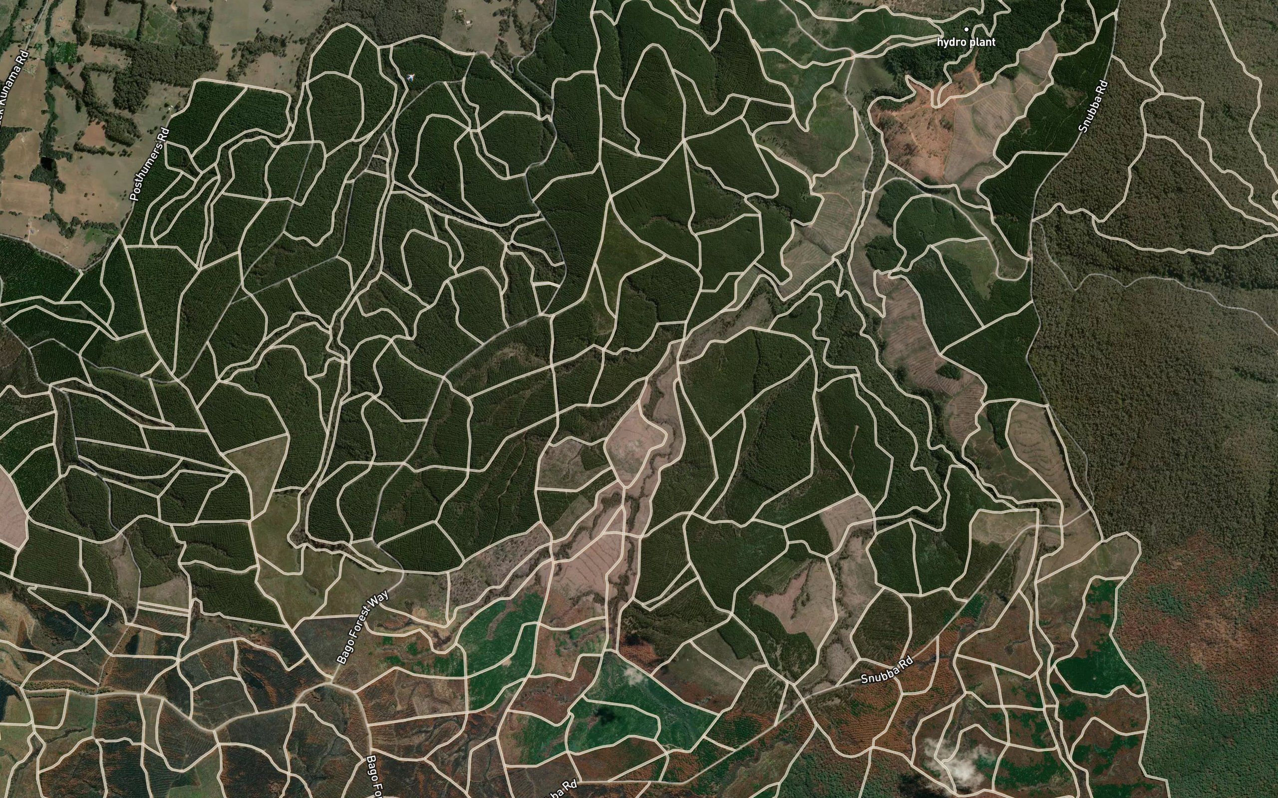 Boggy Gully