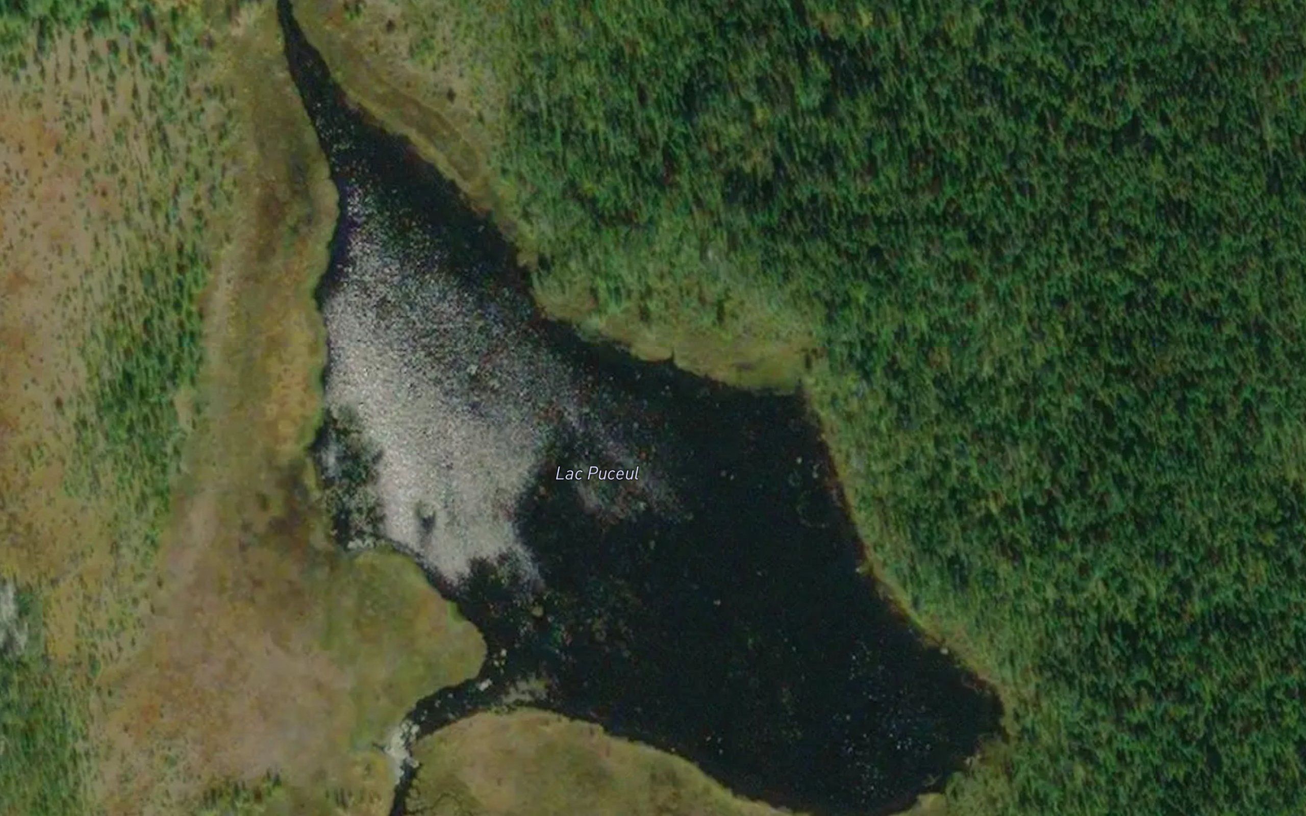 Lac Puceul