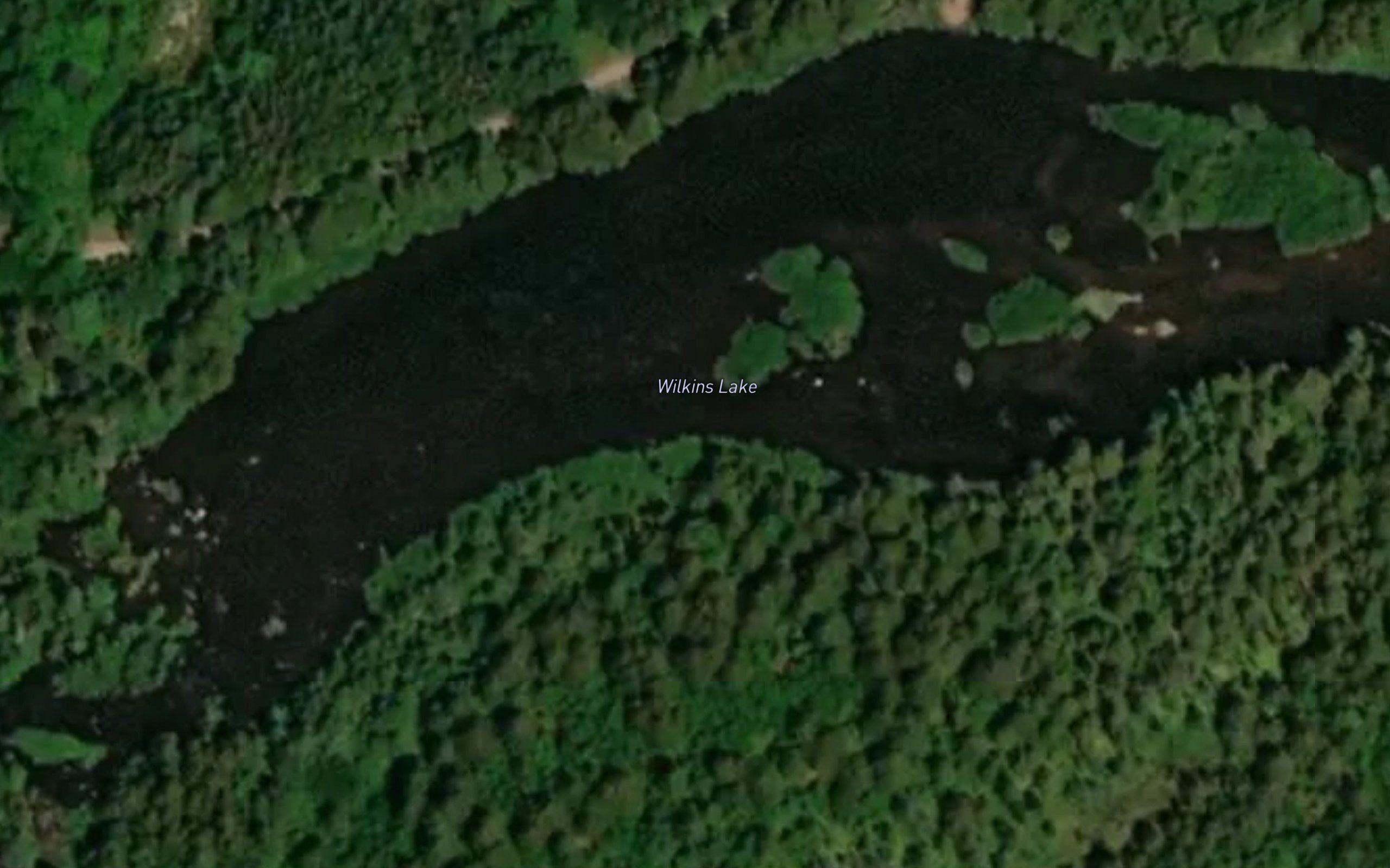 Wilkins Lake
