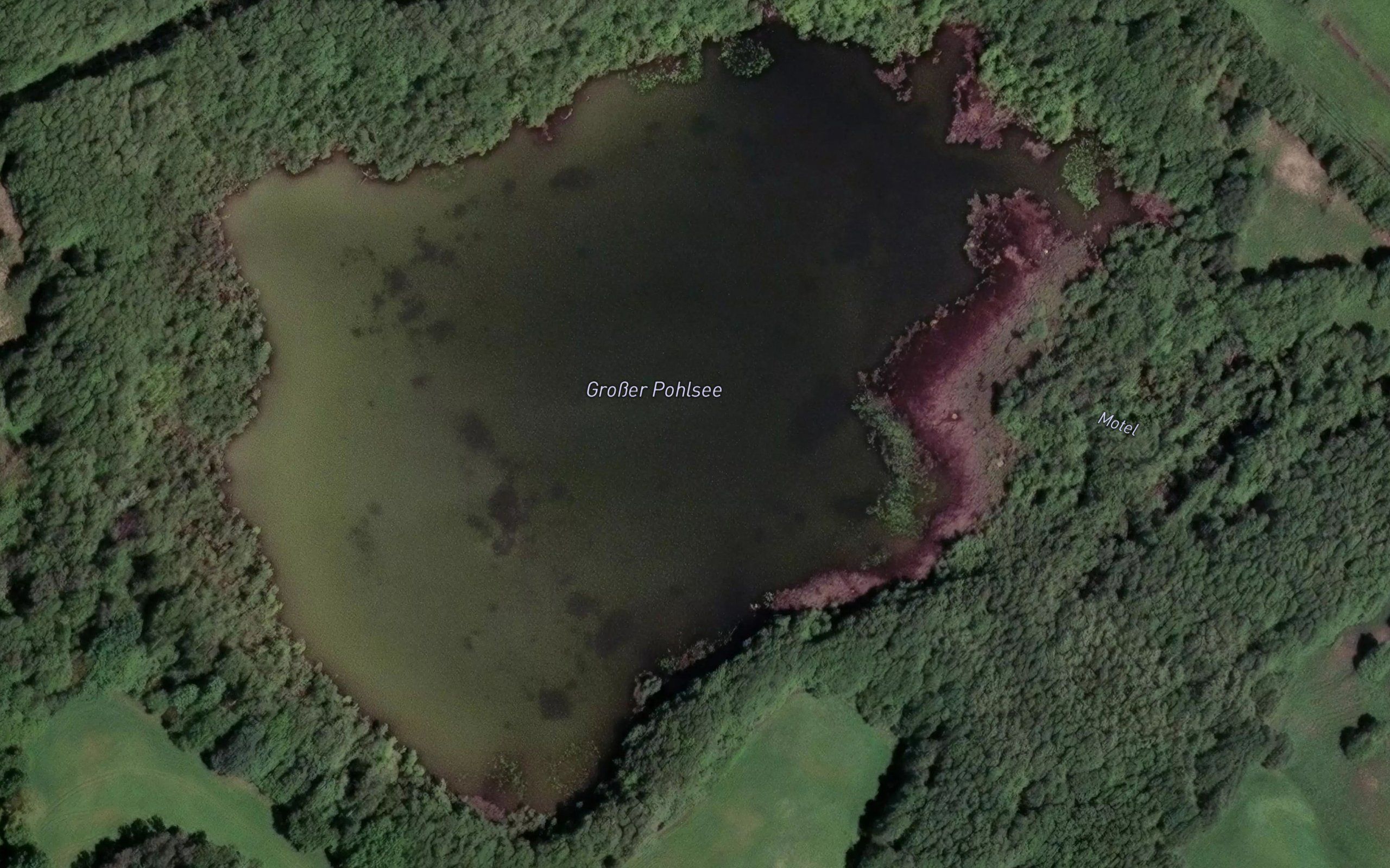 Gross Pohlsee