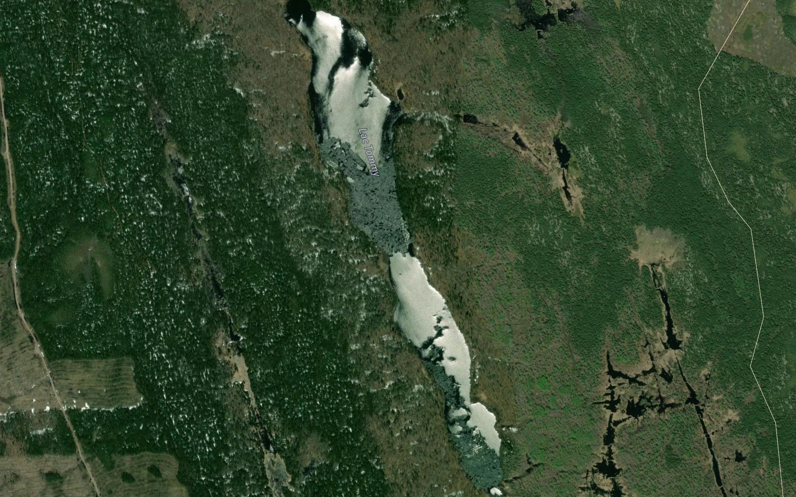 Lac Tommy