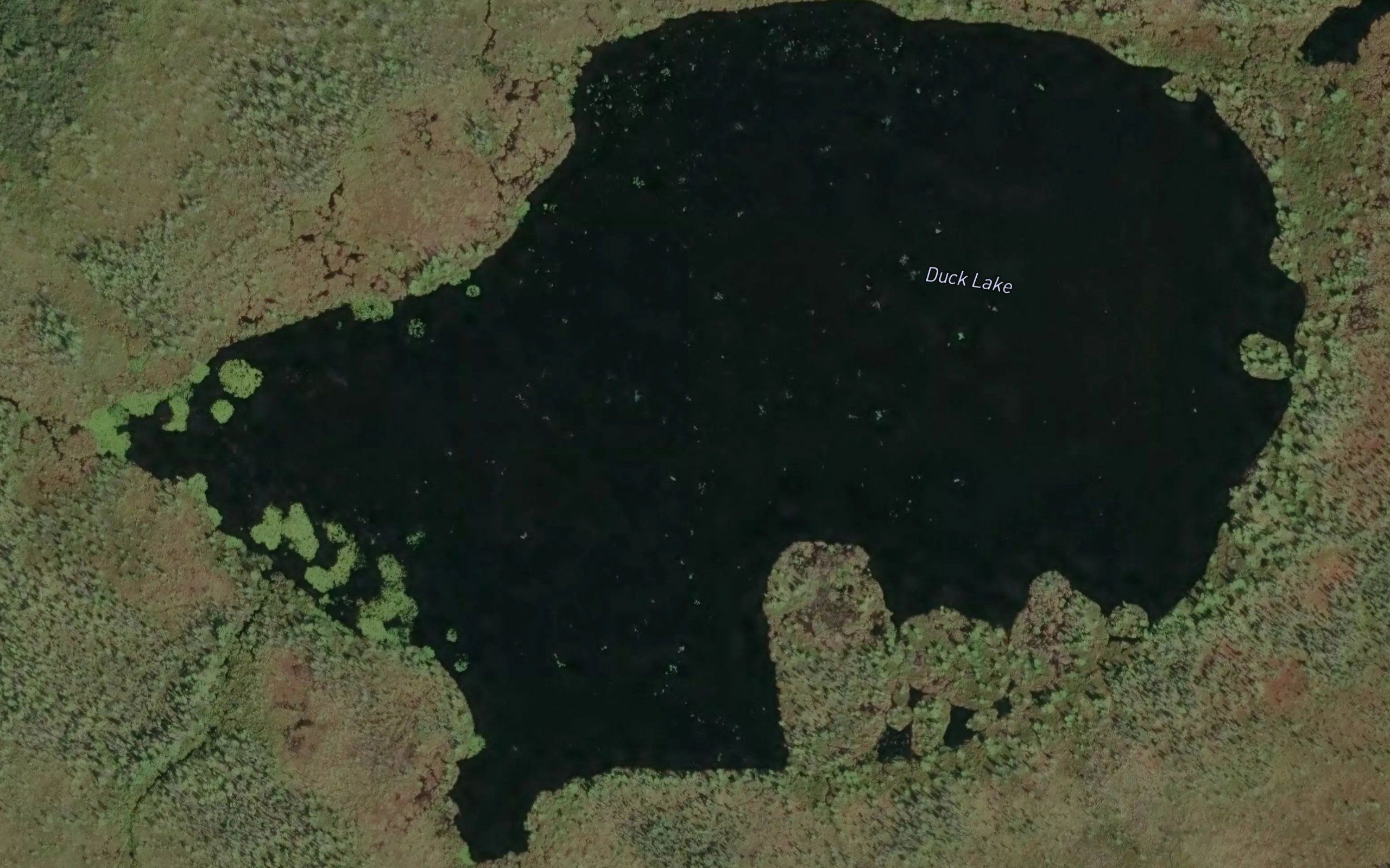 Duck Lake