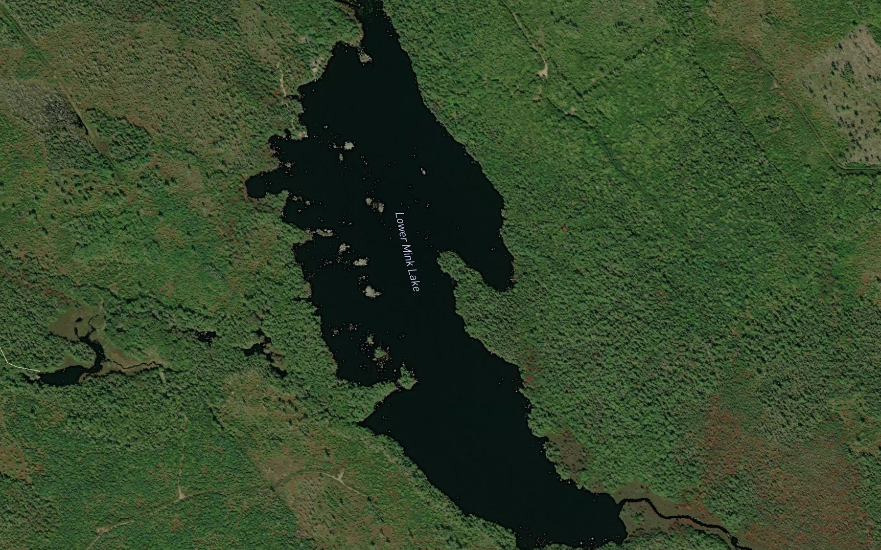Satellite map of the Lower Mink Lake