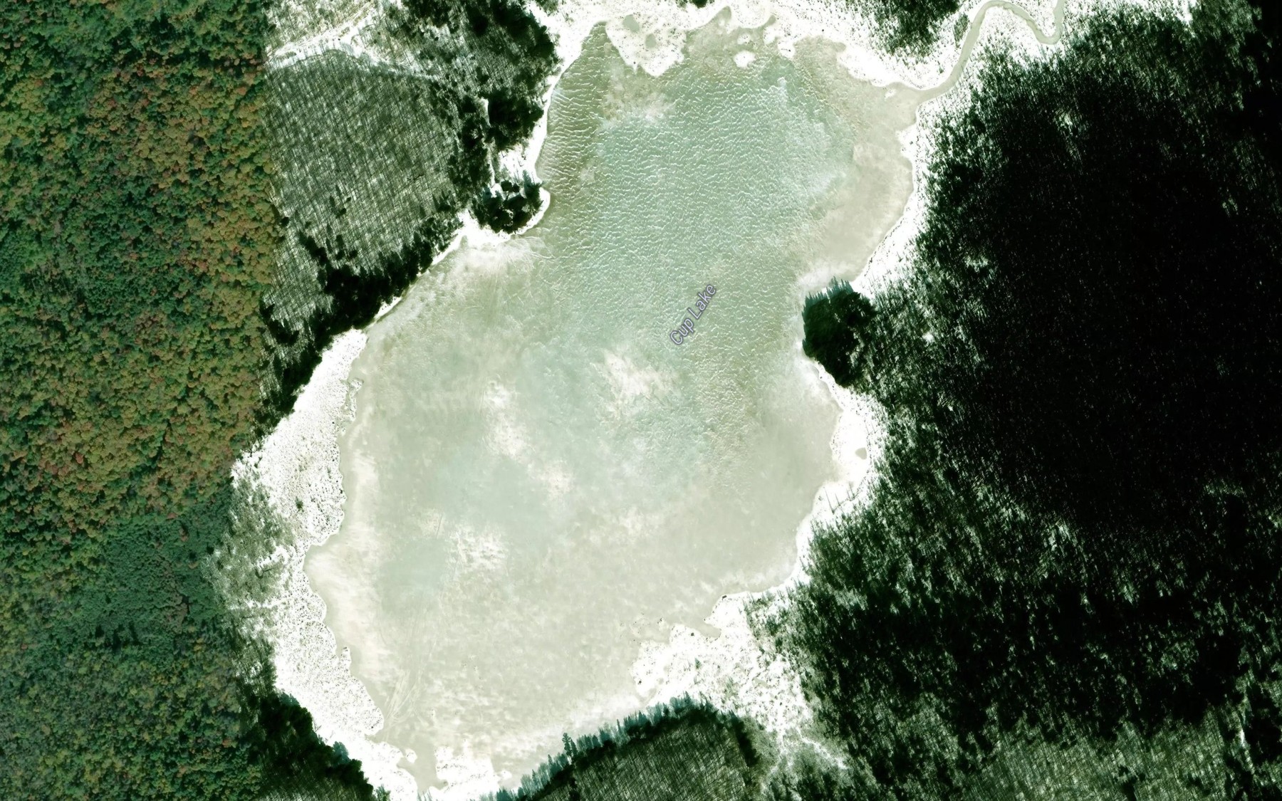 Satellite map of the Cup Lake