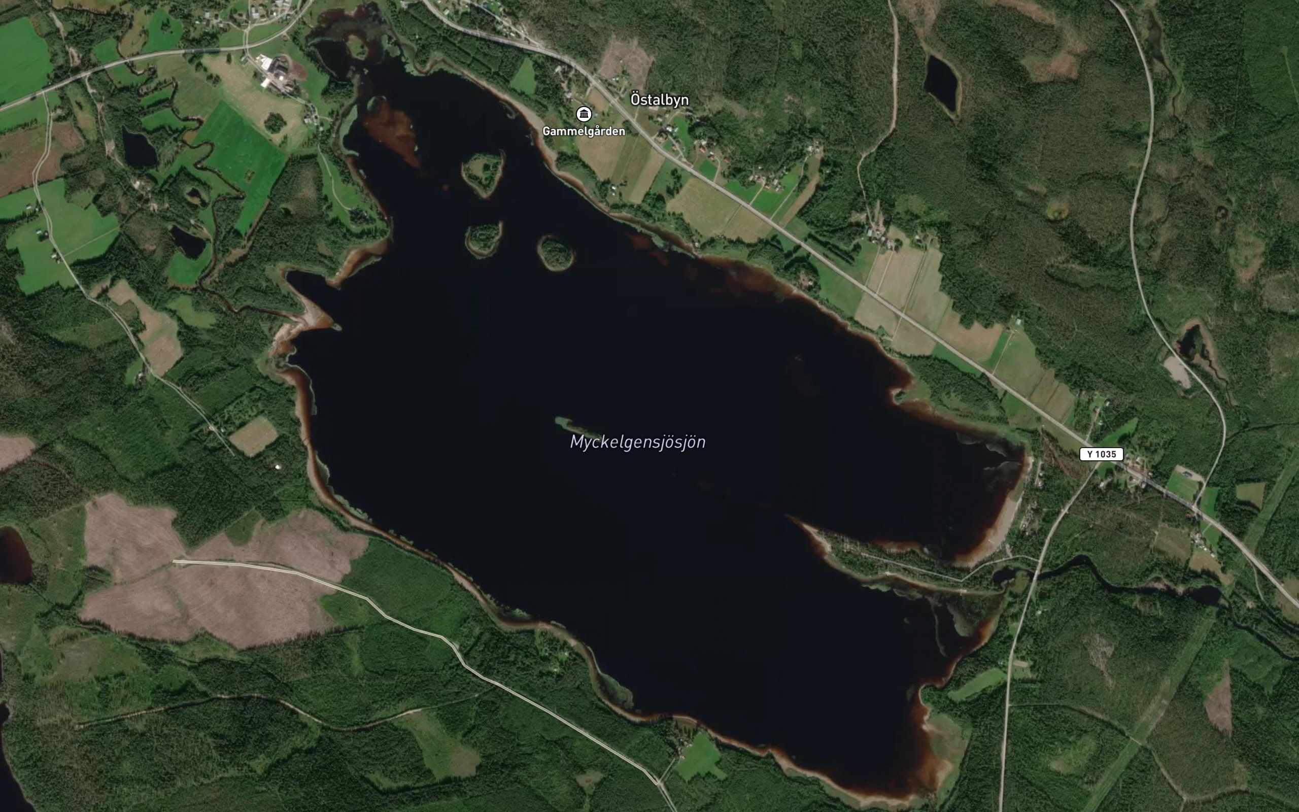 Myckelgensjon