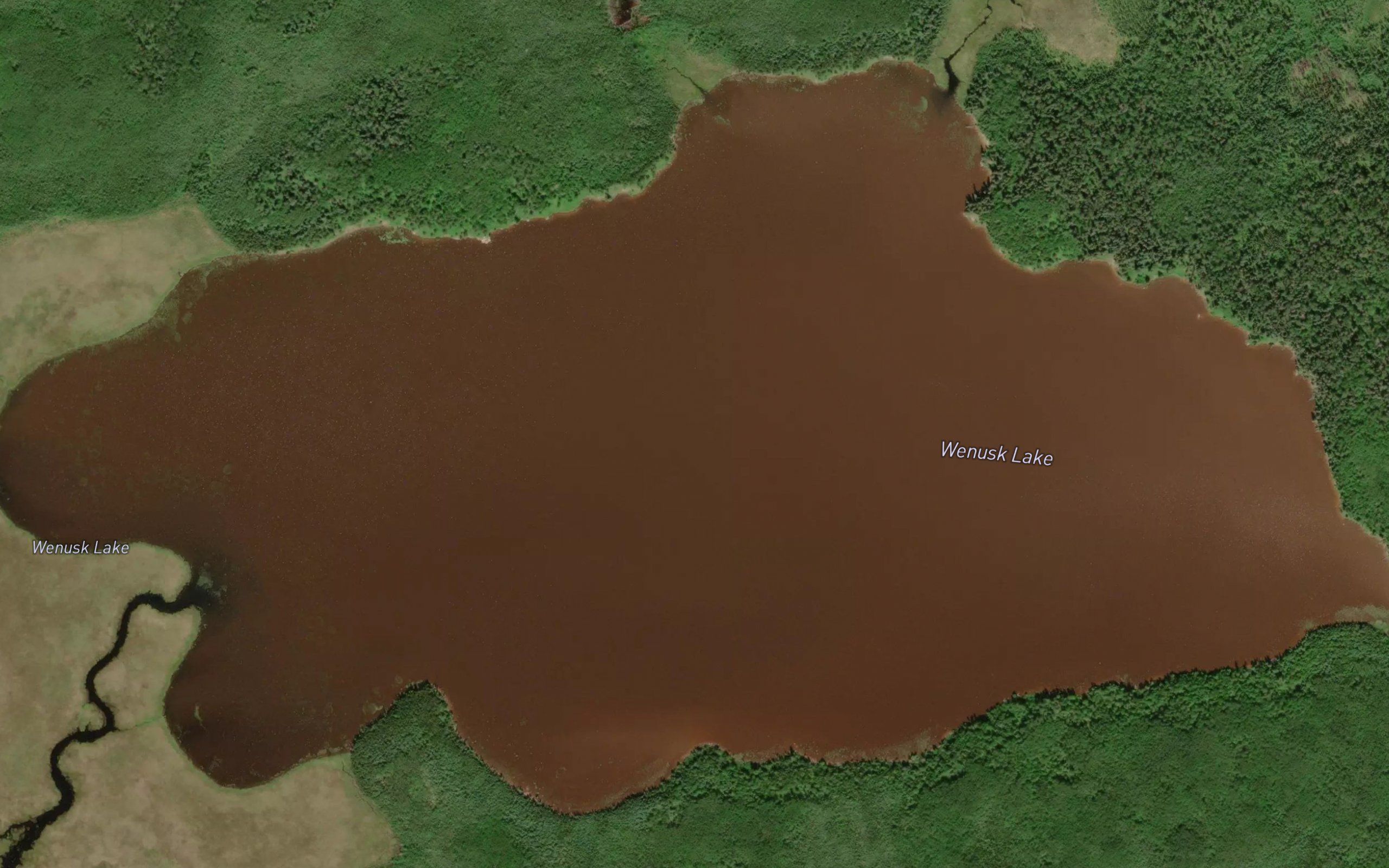 Wenusk Lake