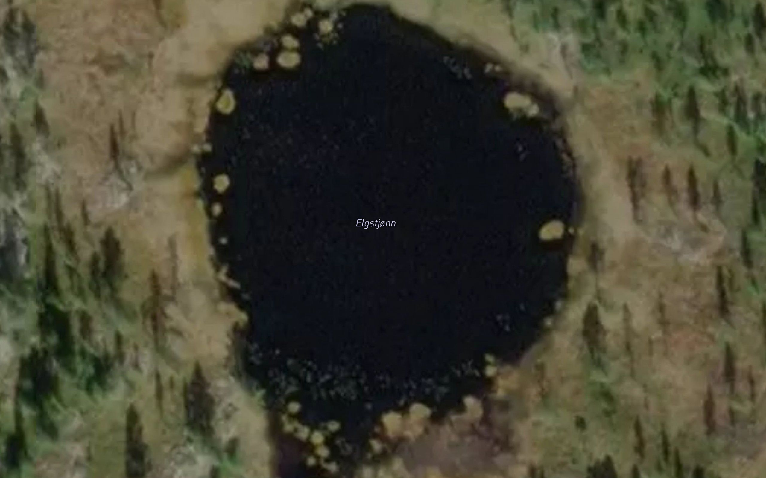 Elgtjonn