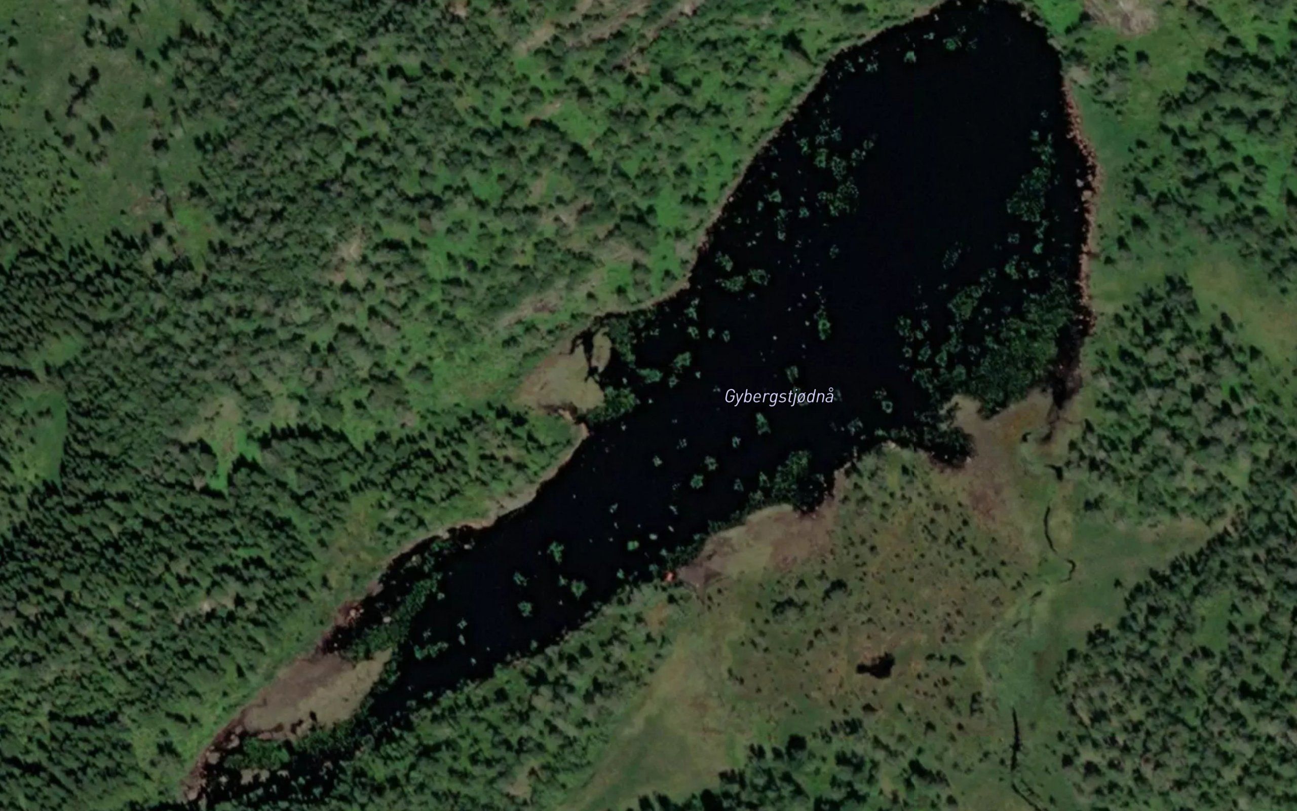 Gybergstjodna