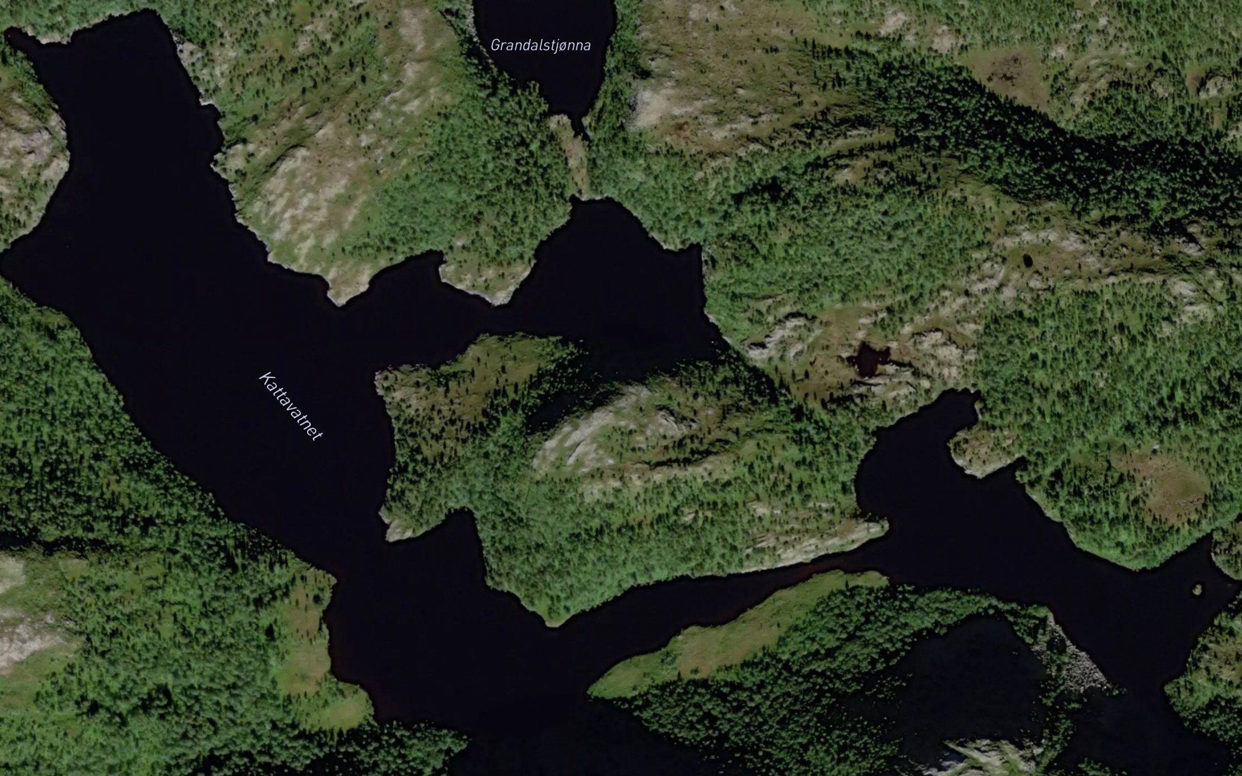 Kattavatnet