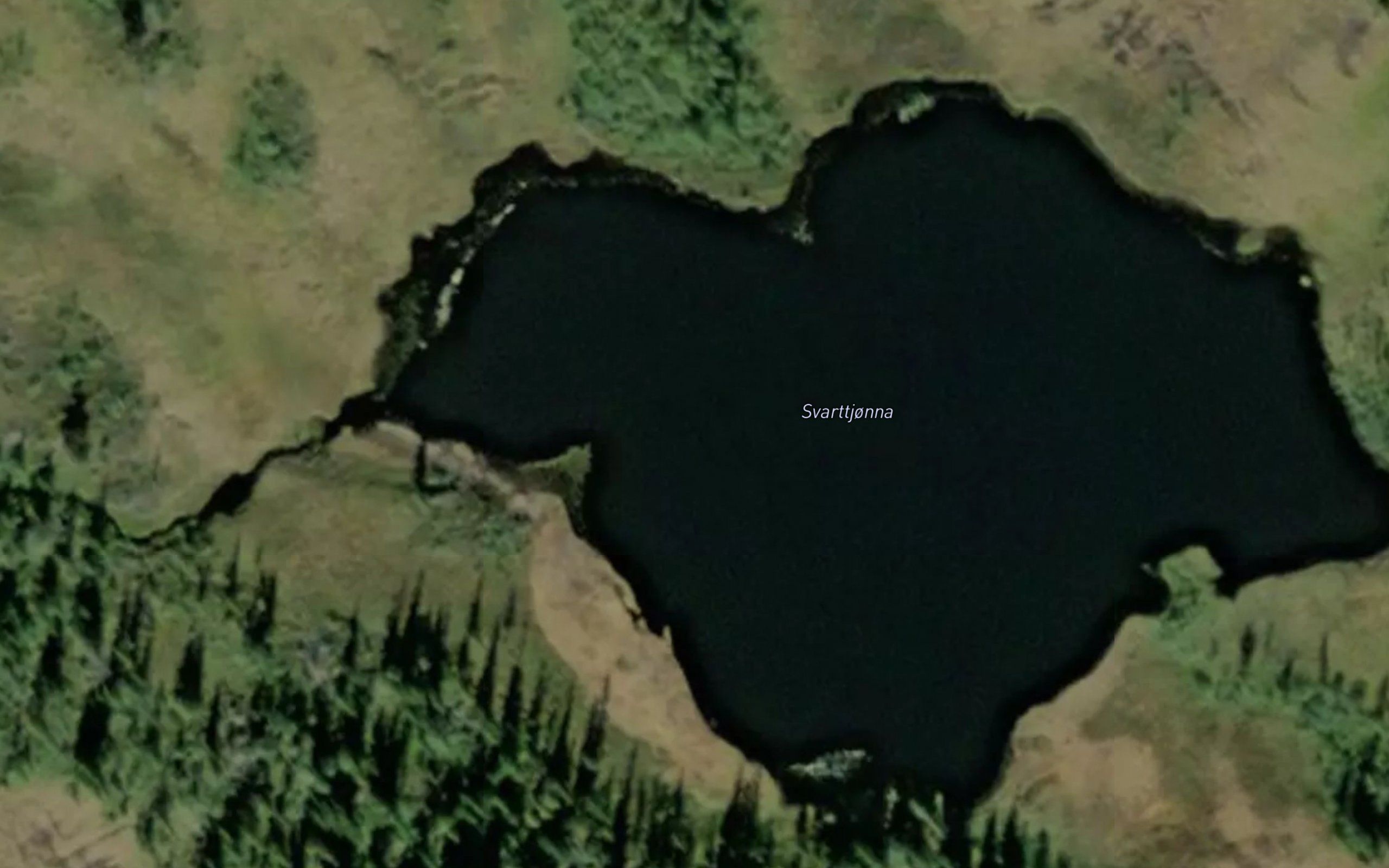 Svarttjonna