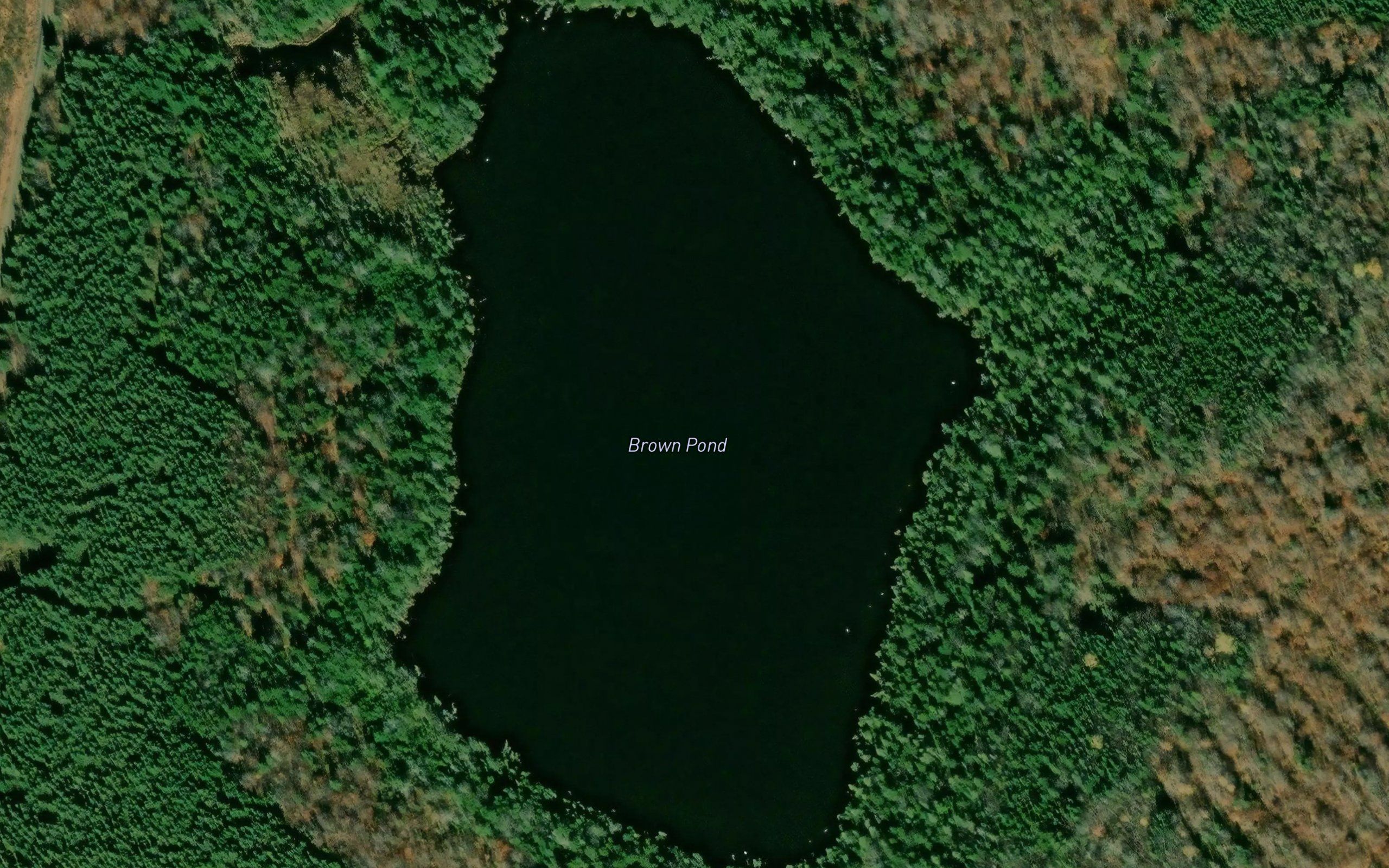 Brown Pond
