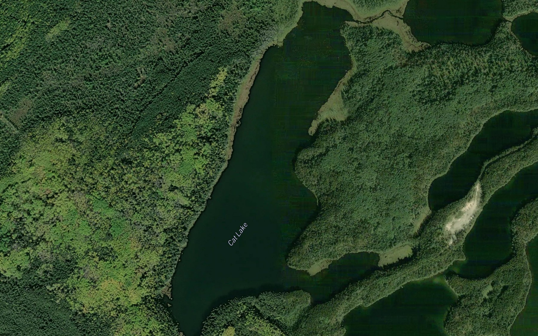 Satellite map of the Cat Lake