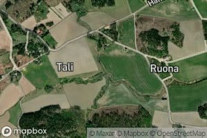 Marjonjoki