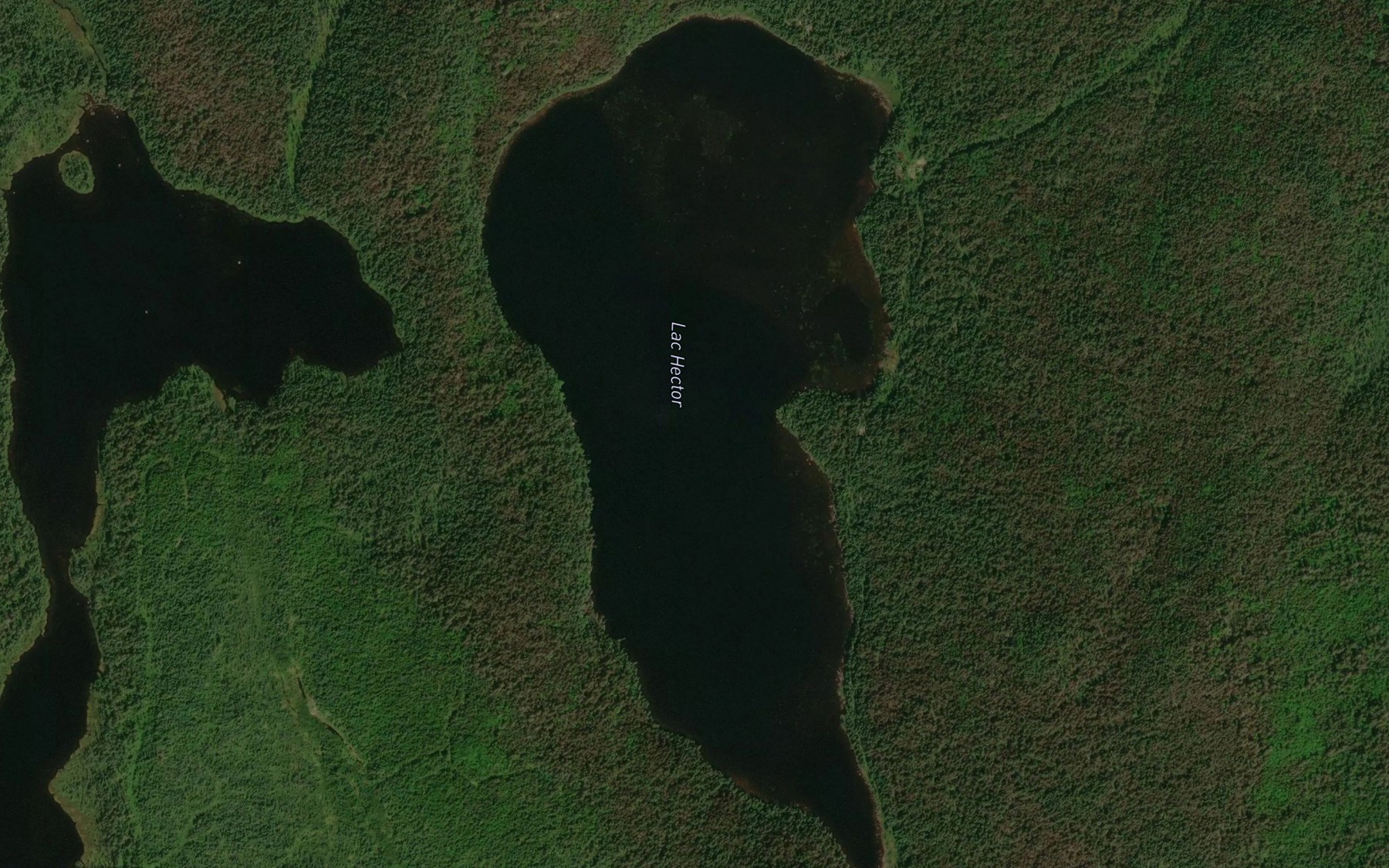 Satellite map of the Lac Hector