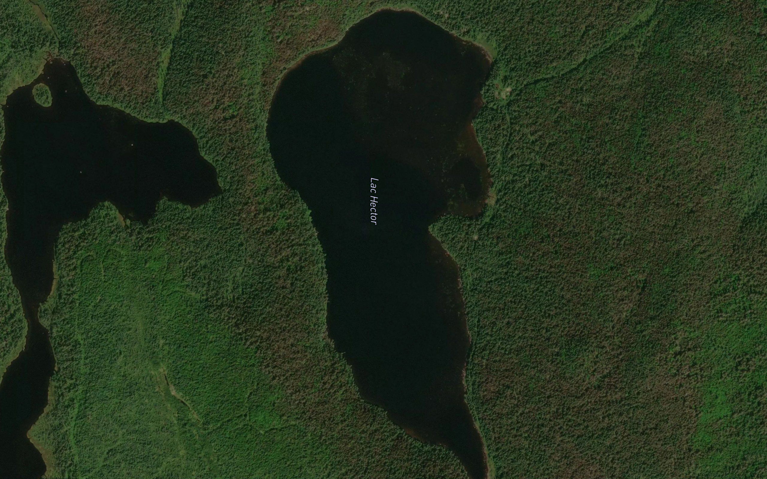 Lac Hector