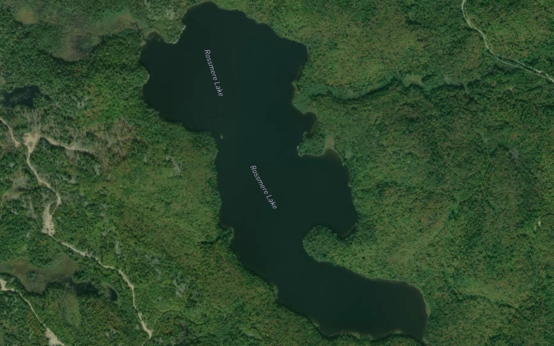 Satellite map of the Rossmere Lake