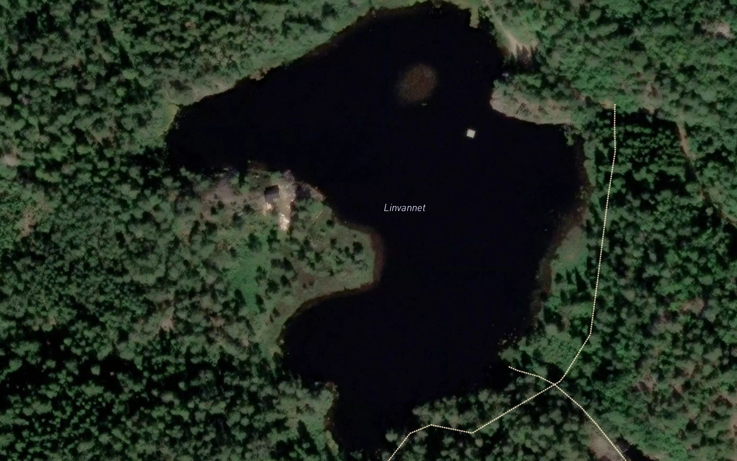 Linvannet