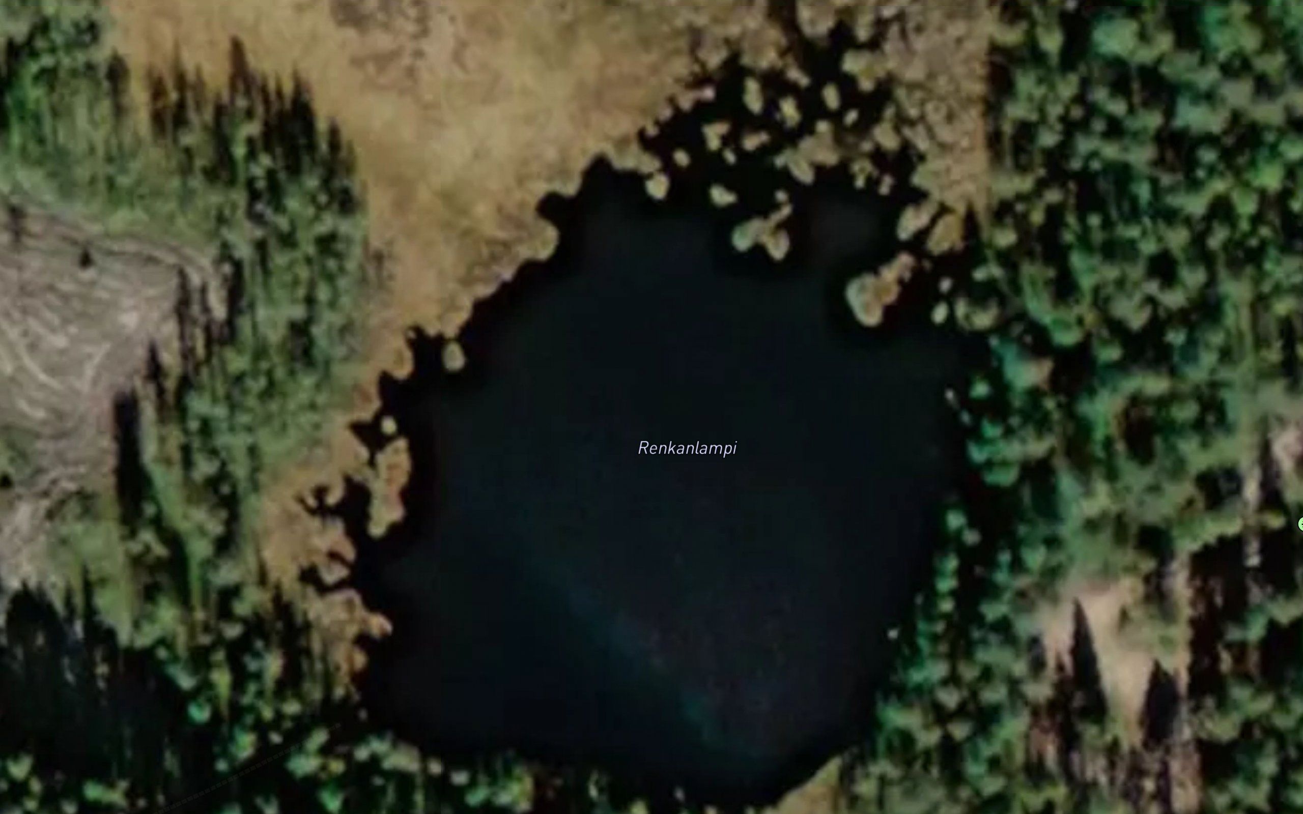 Renkanlampi