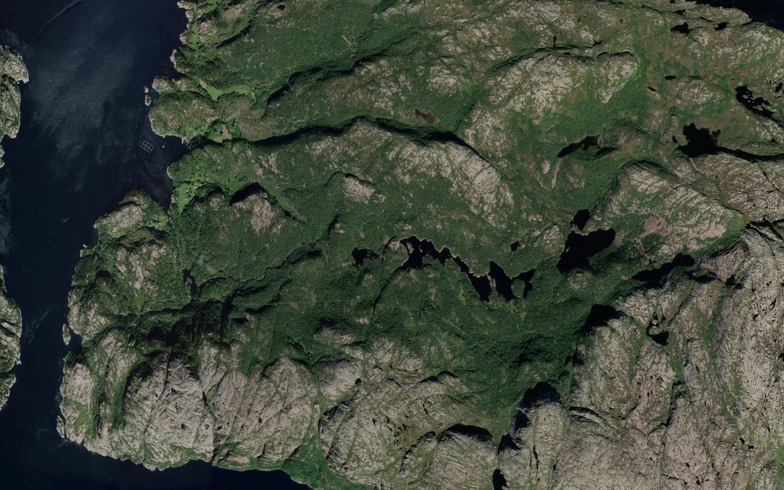 Fossen