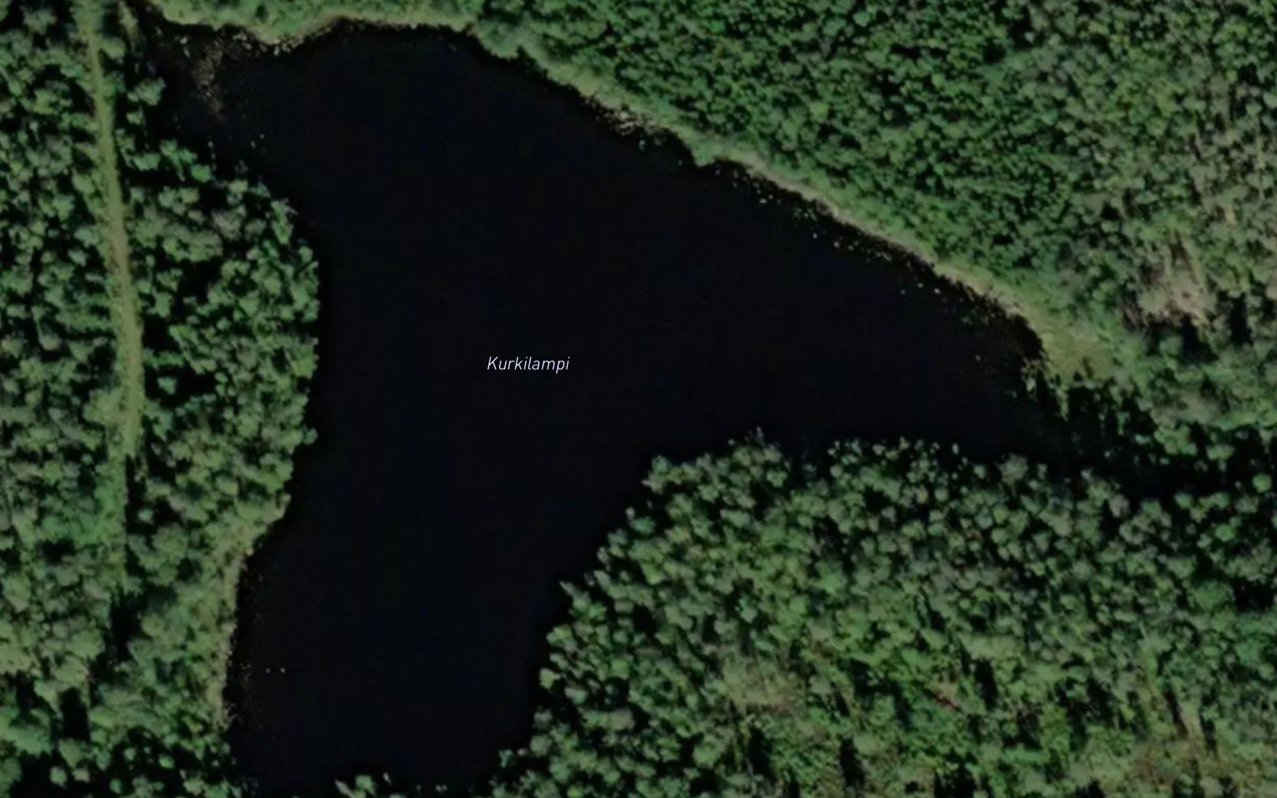 Kurkilampi
