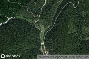 Lines Creek