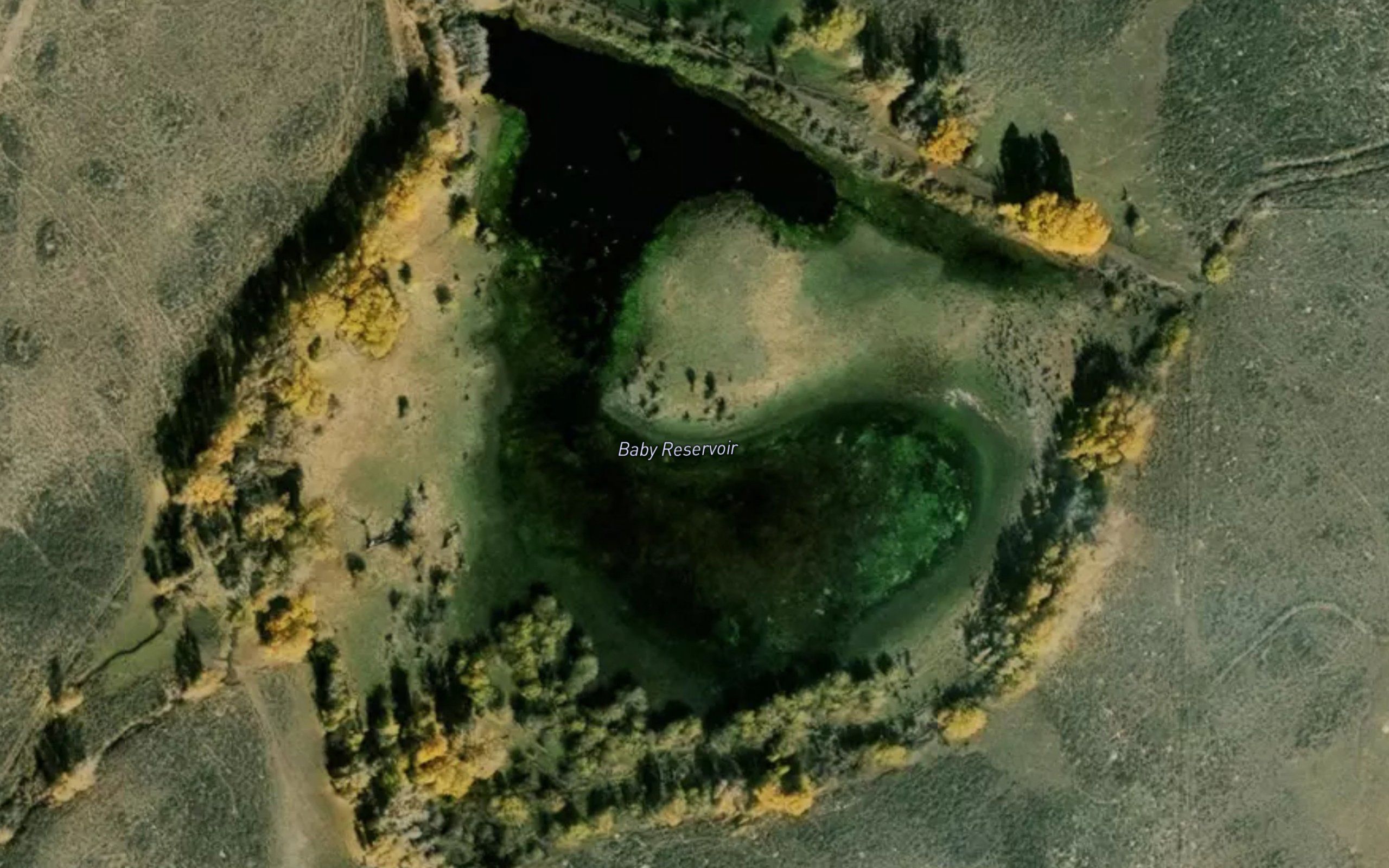 Baby Reservoir